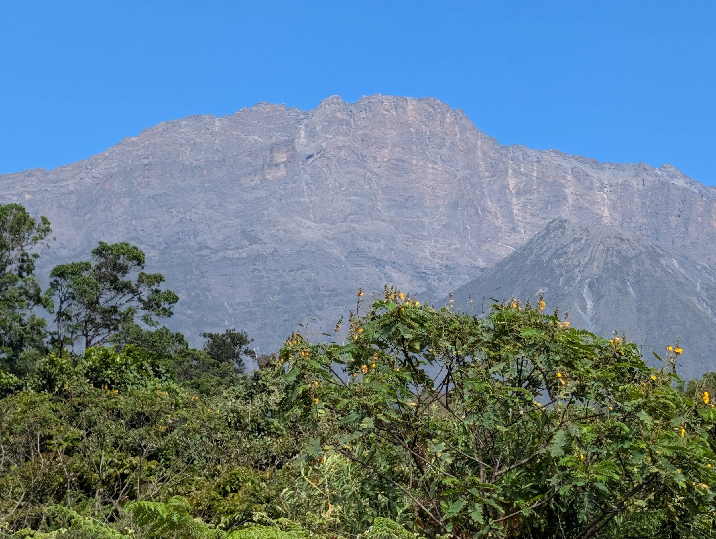 Day 1 - Mt. Meru Game Drive