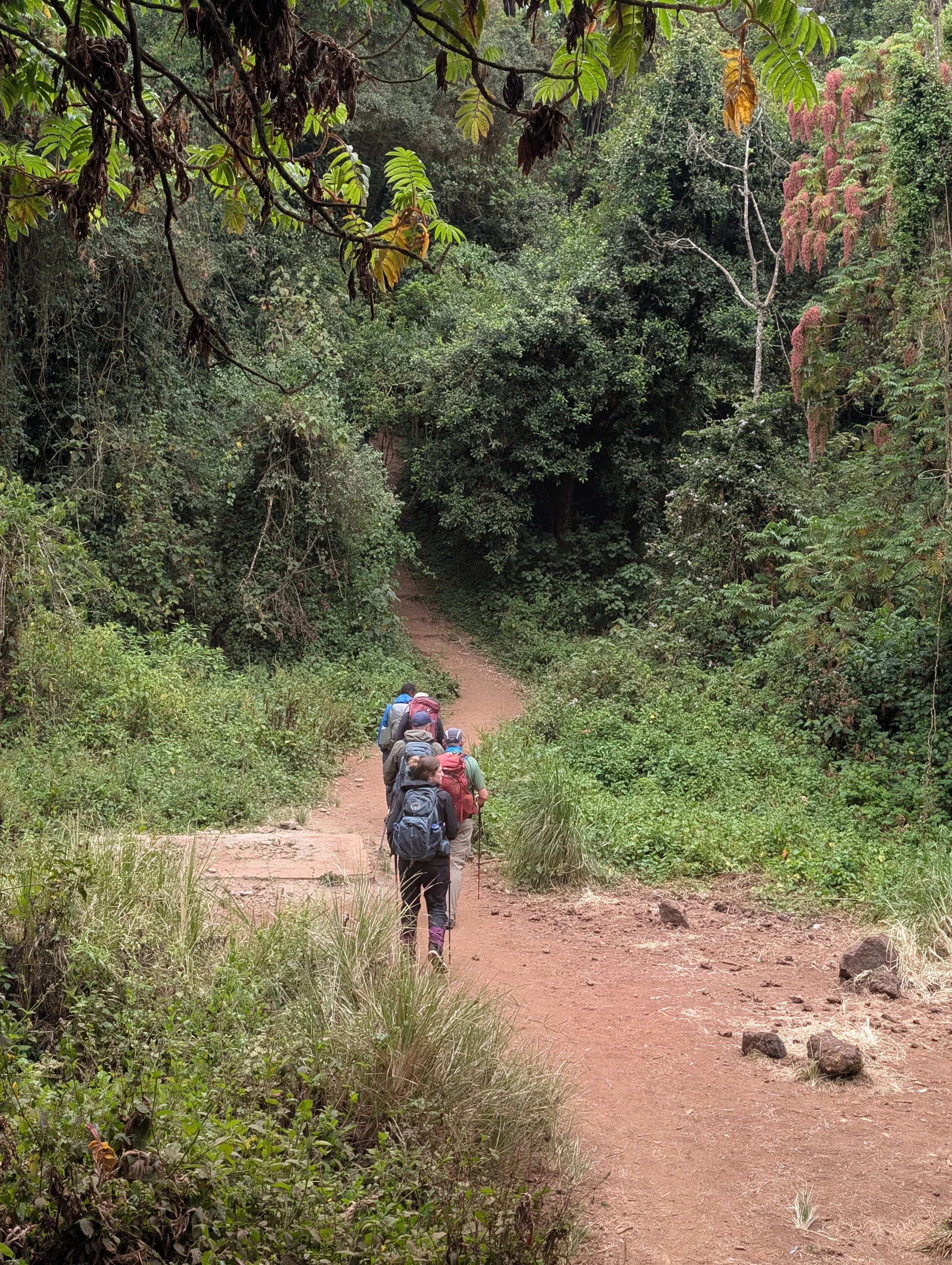 Twende! (Swahili: Let's Go!)
