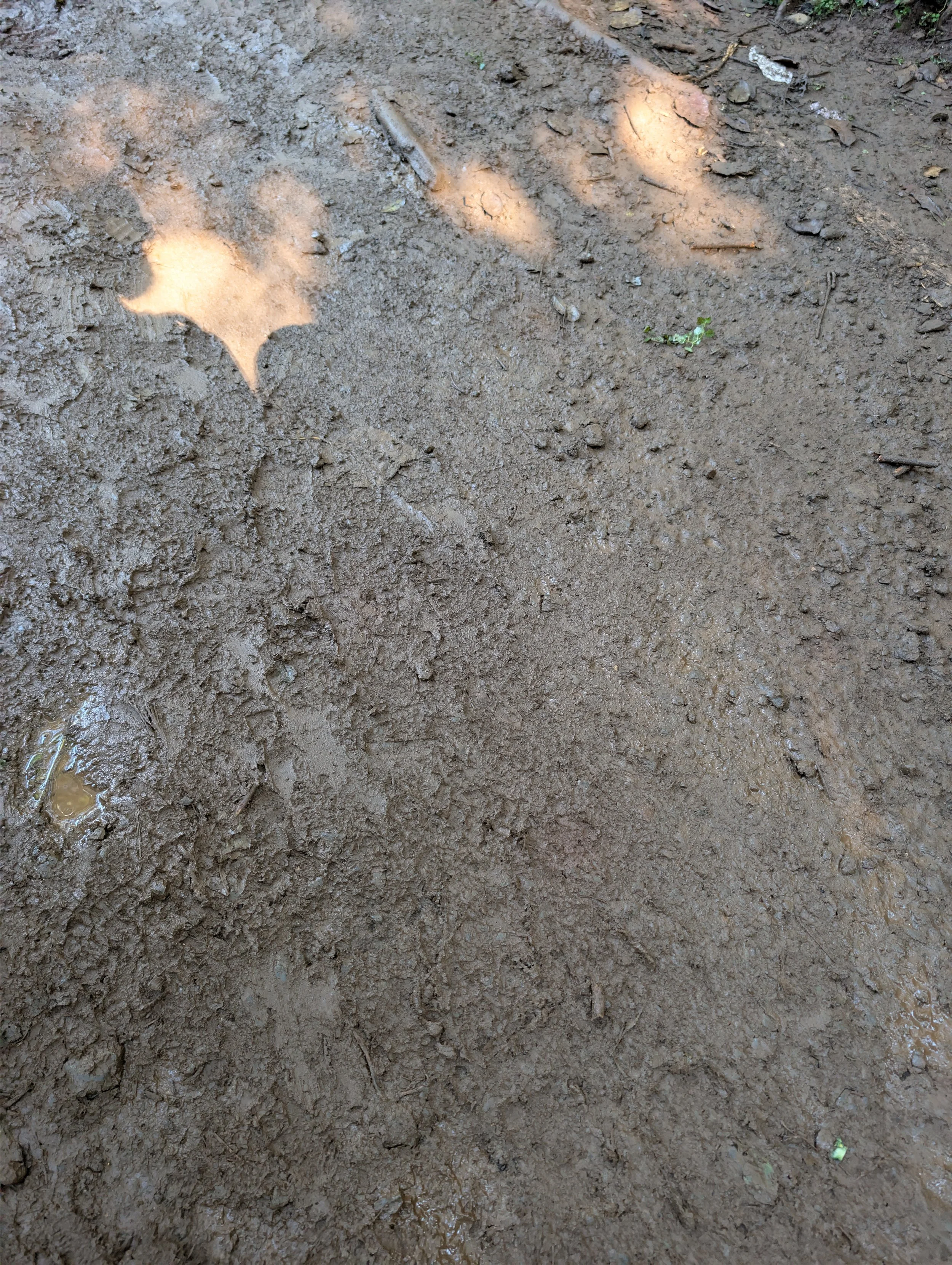 PXL_20260916_225704037.jpg
