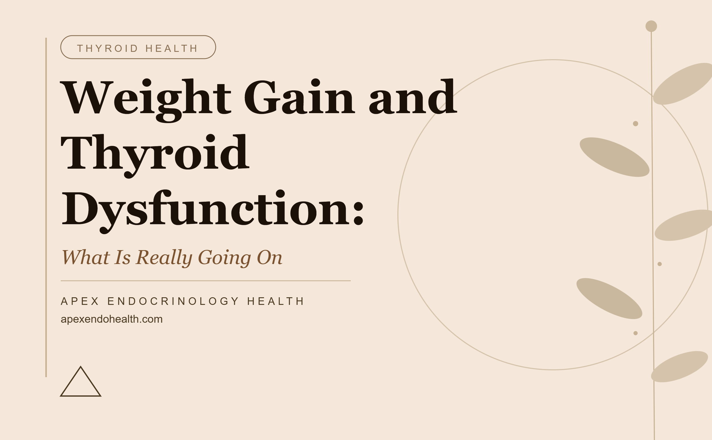 Weight Gain and Thyroid Dysfunction: What Is Really Going On