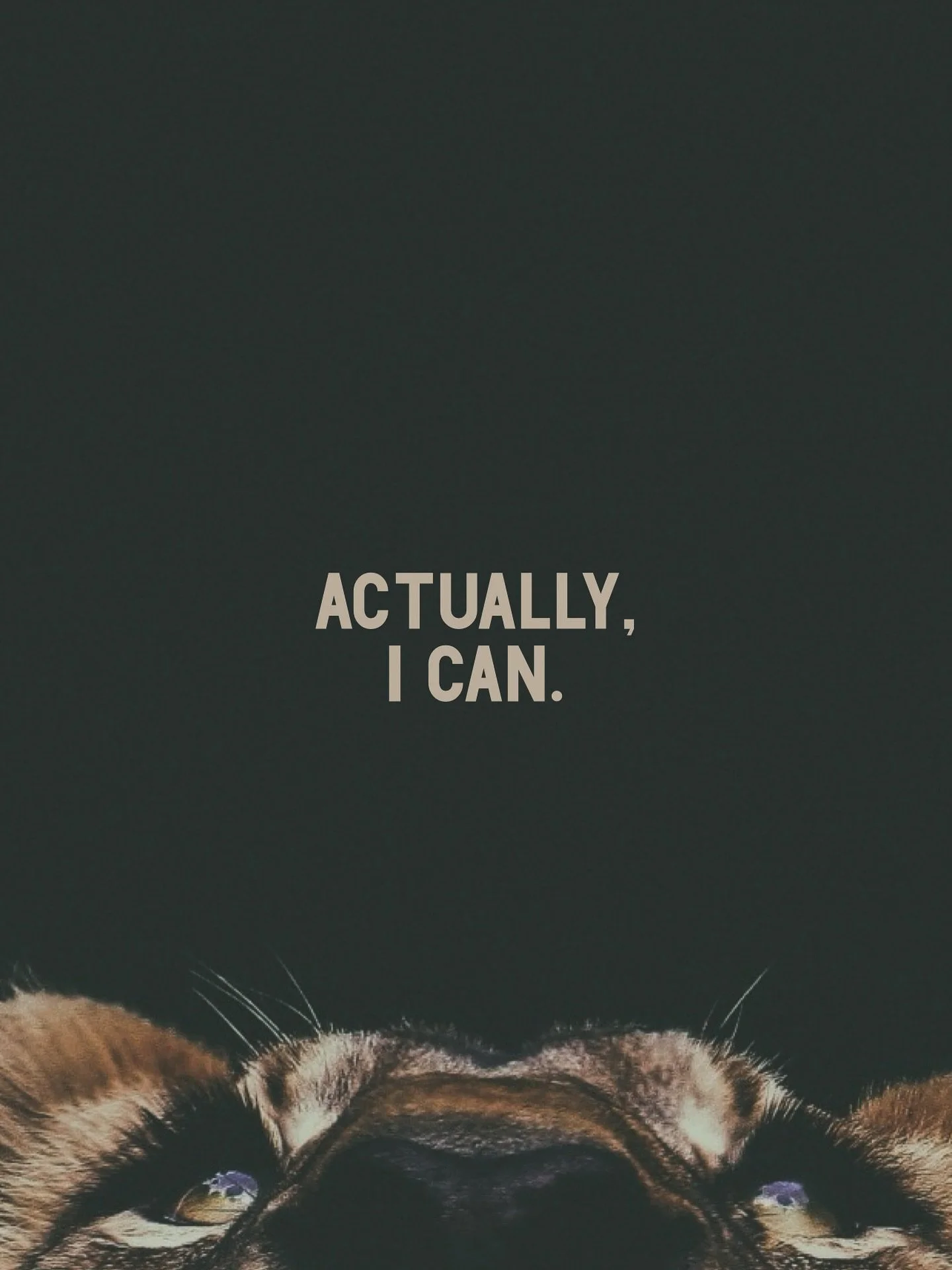 #fiercegracecoaching