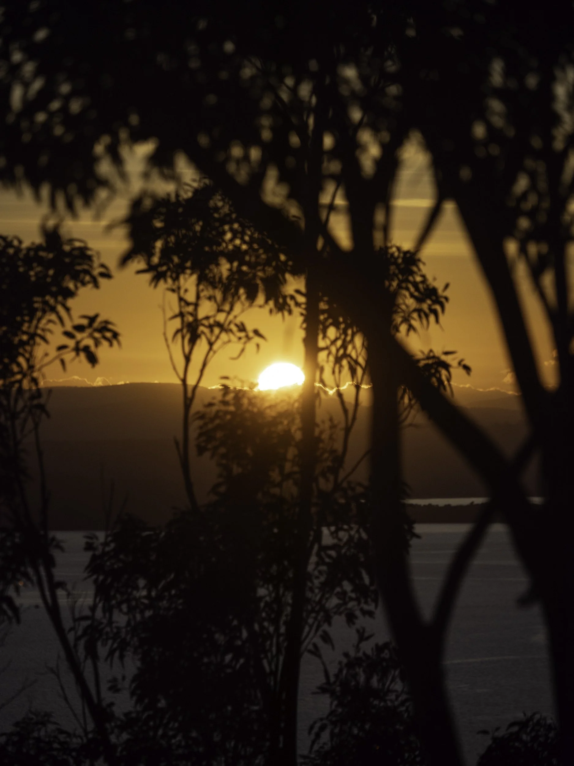 052904122023, Dorney House, Fort Nelson, Lutruwita / Tasmania