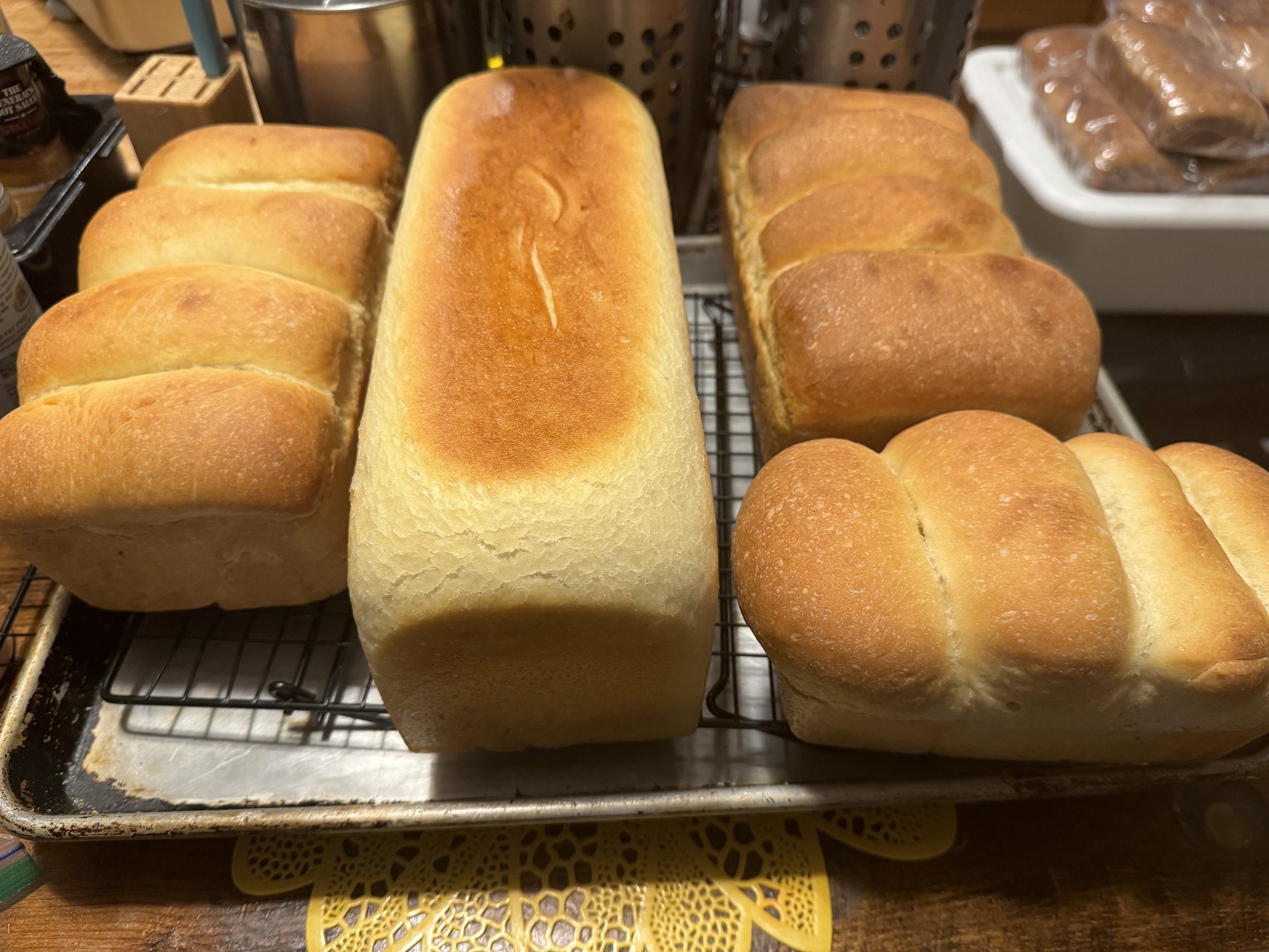 Sandwich White