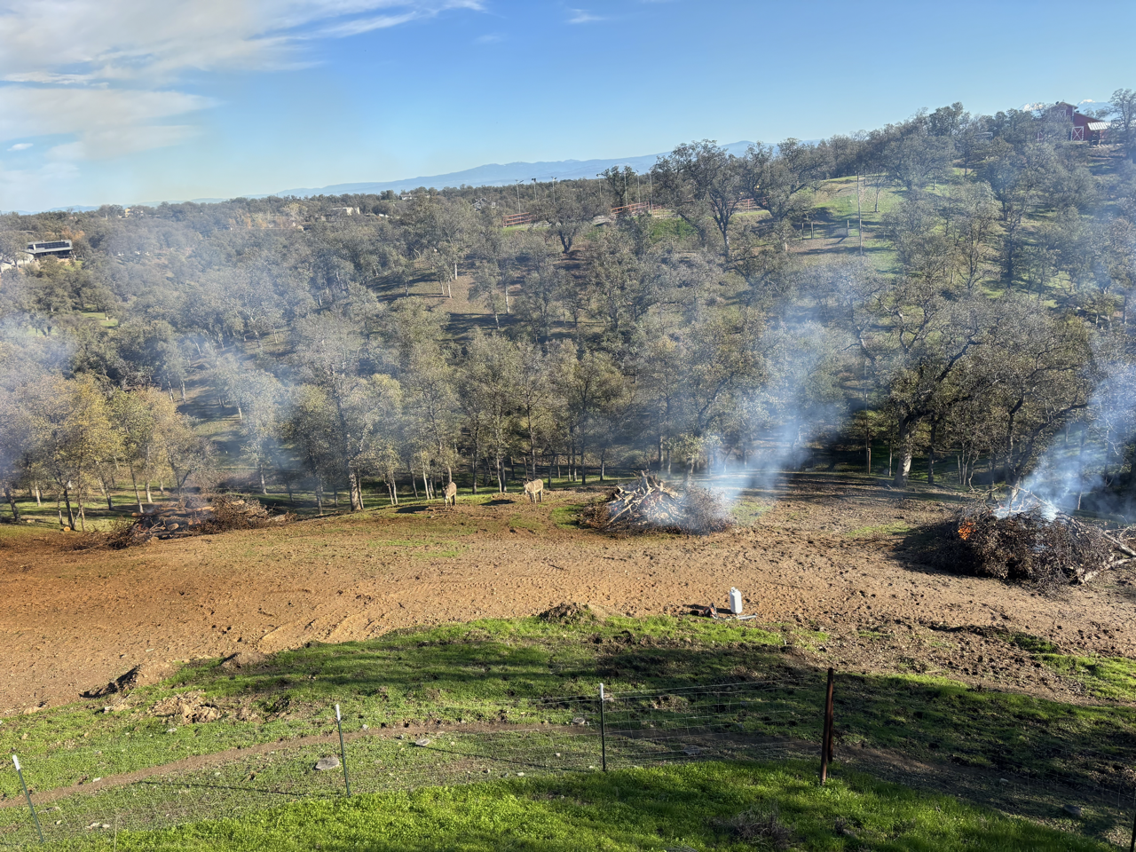 Land Clearing Burn in Palo Cedro, CA (1/4)