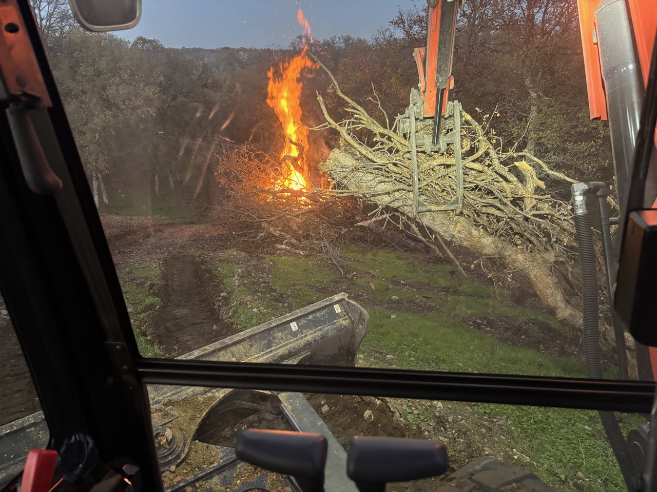 Land Clearing Burn in Palo Cedro, CA (4/4)
