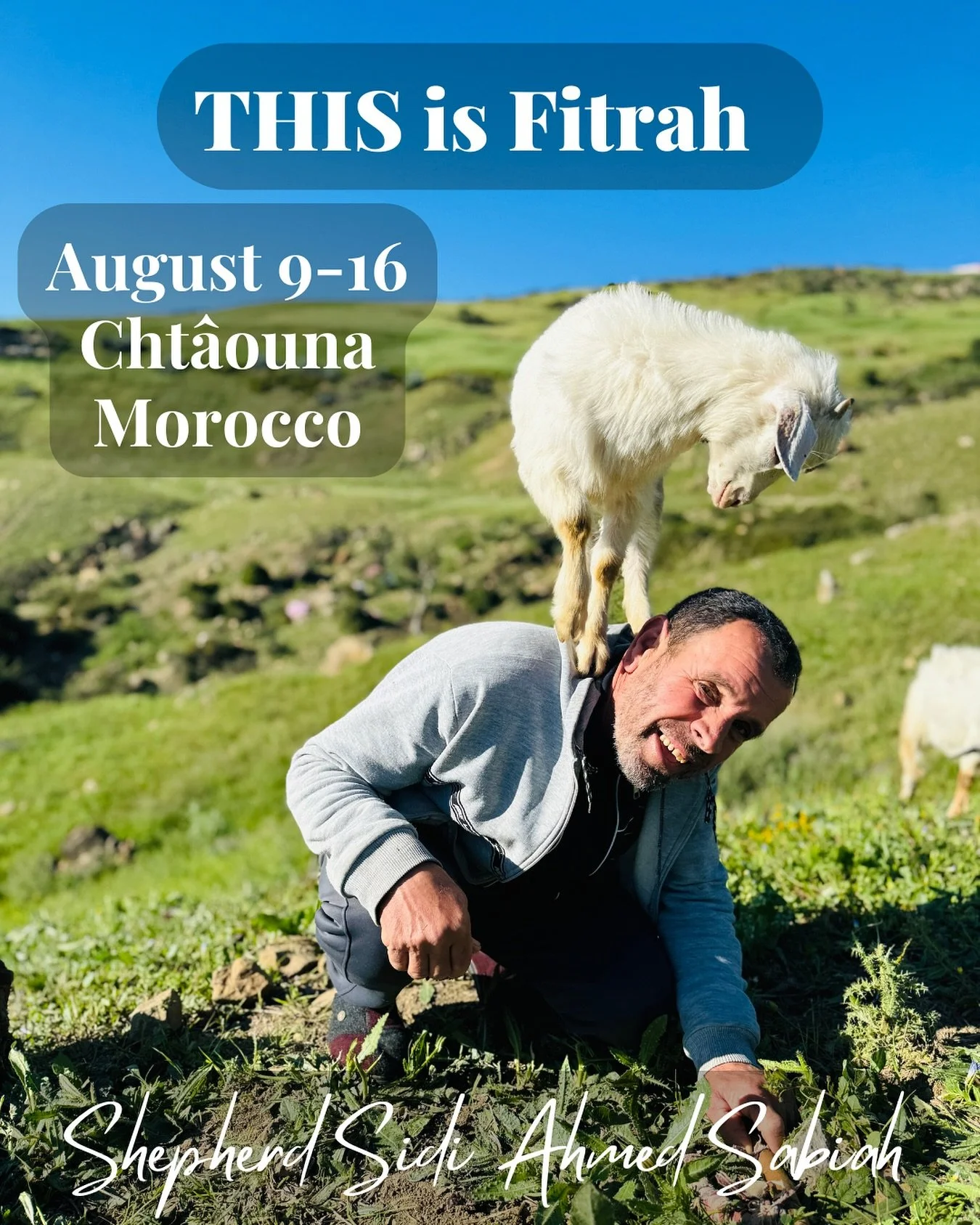 Witnessing Shepherd Sidi Ahmed Sabiah on his family farm in the cool mountains of Northern Morocco was a gift. The love he showed for his family, his work, and his animals, is something you have to see for yourself. 

He taught us what &ldquo;tending