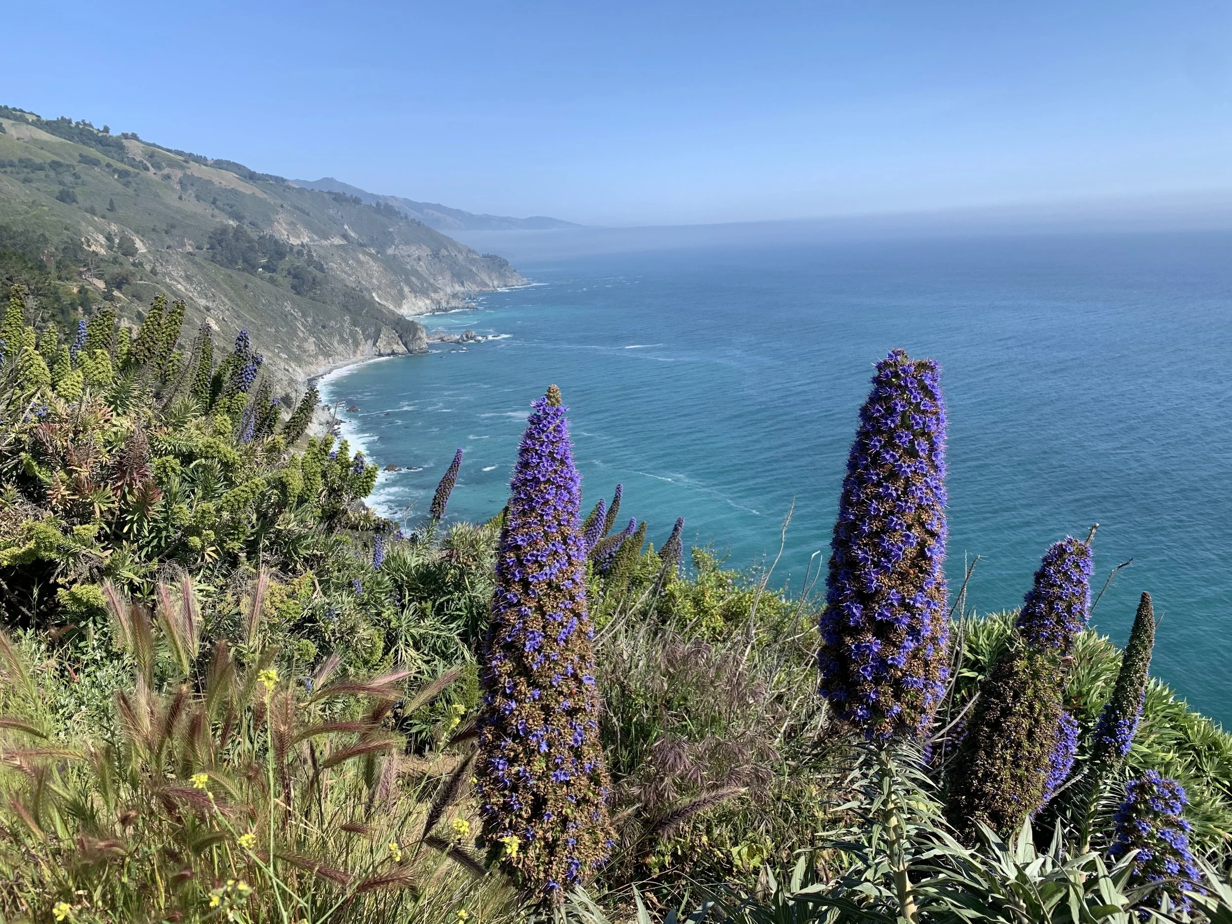 The Beauty of Balance Wellness Workshop @Muir Beach