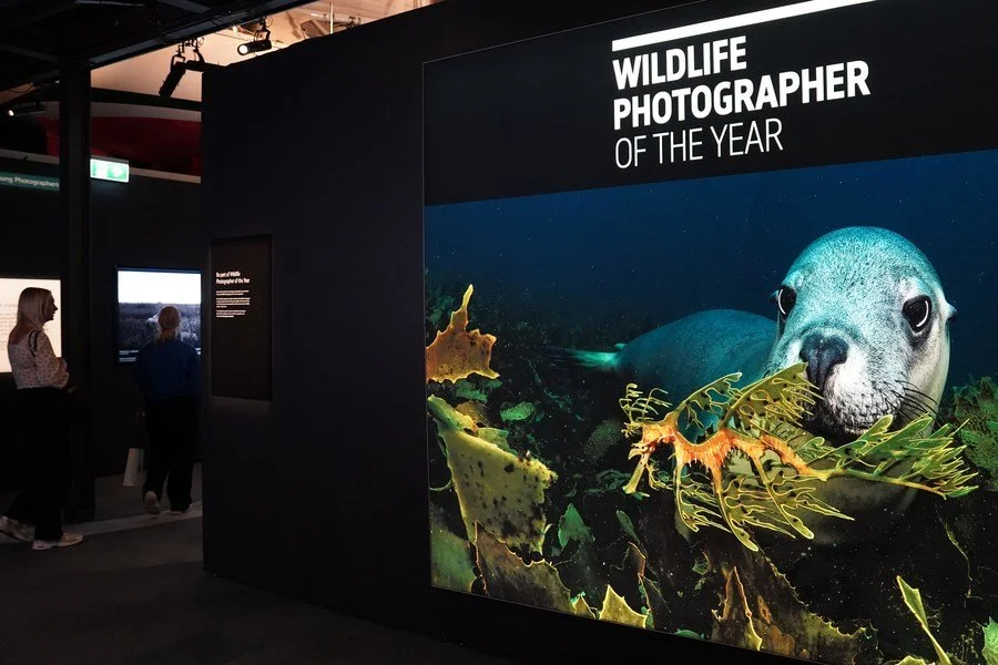 Photography outing to the Wildlife Photographer of the Year exhibition at the Maritime Museum