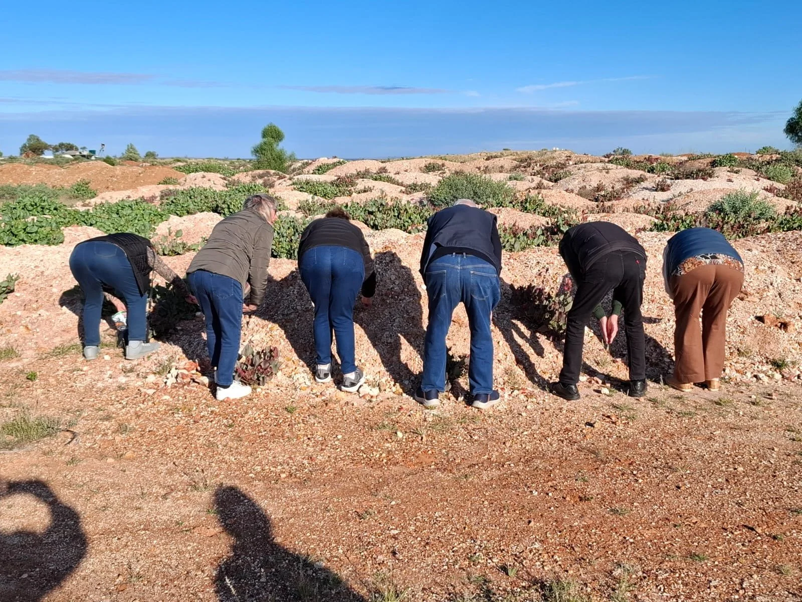 Fossicking for opals