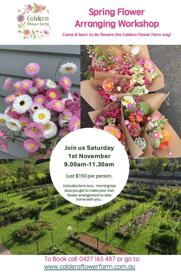 Screenshot 2025-10-02 at 1.13.27 pm.png