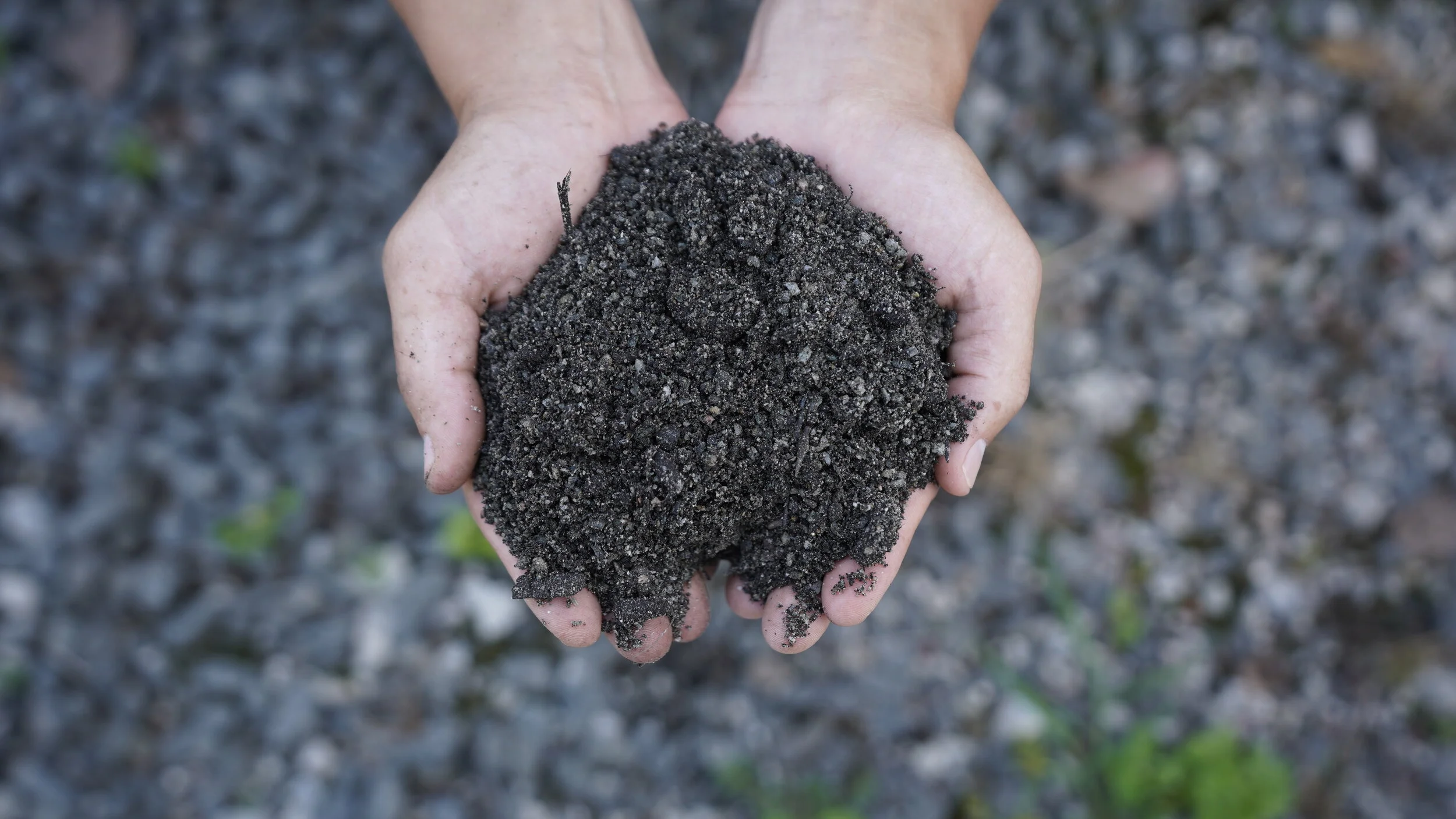 Bioretention Soil
