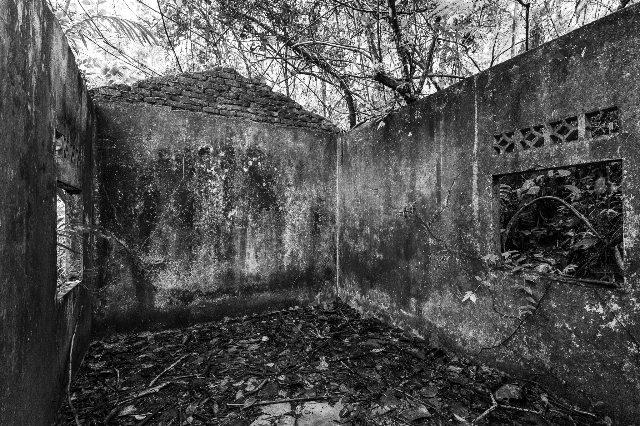 L1050802.jpg