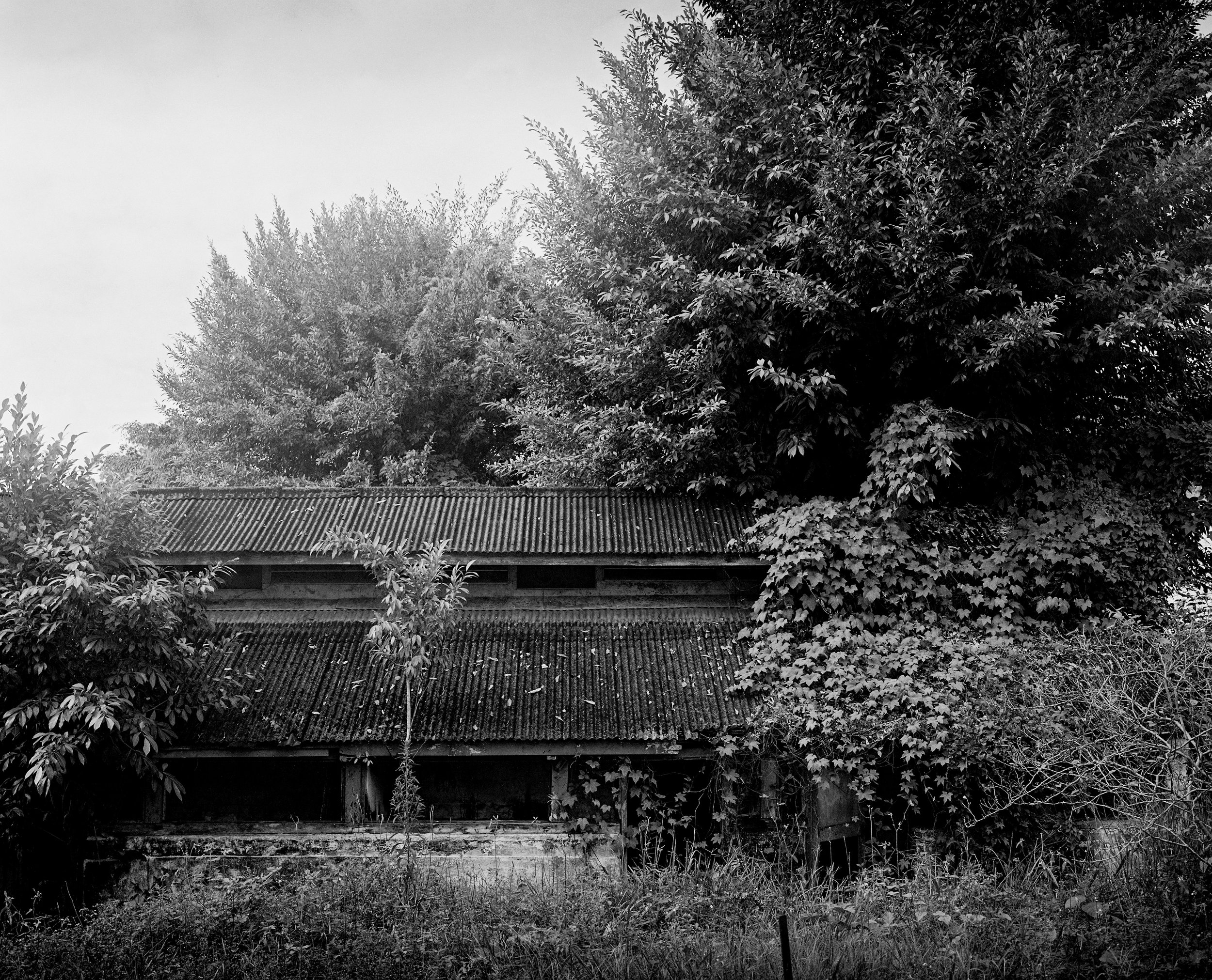 khoo.johan.-114.jpg