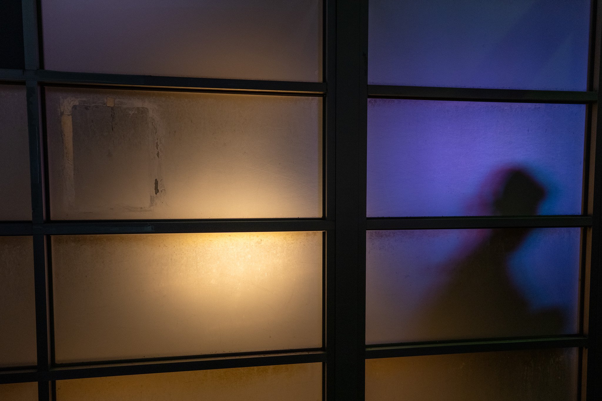 P1011513.jpg
