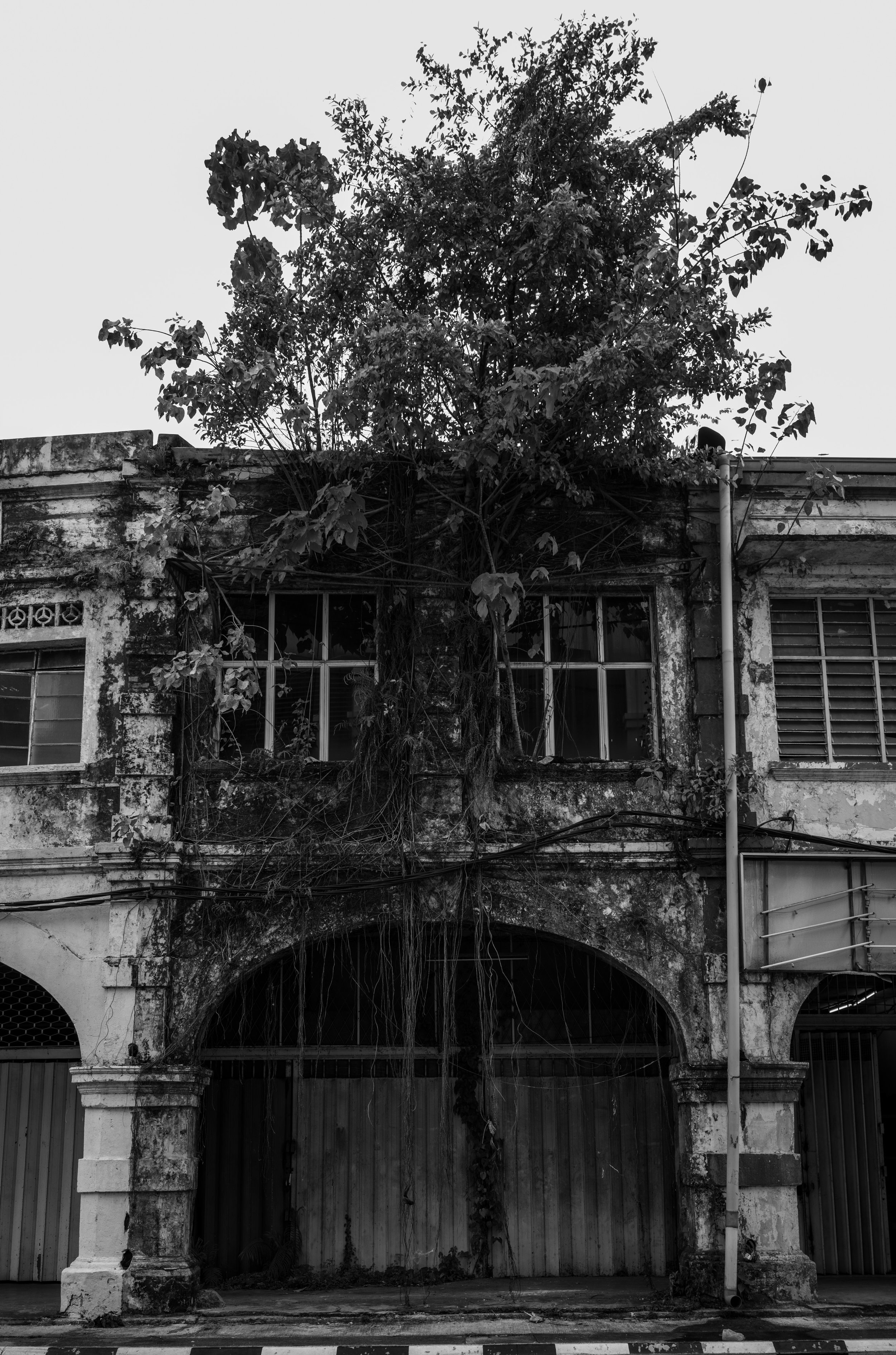 khoo.johan.-113.jpg