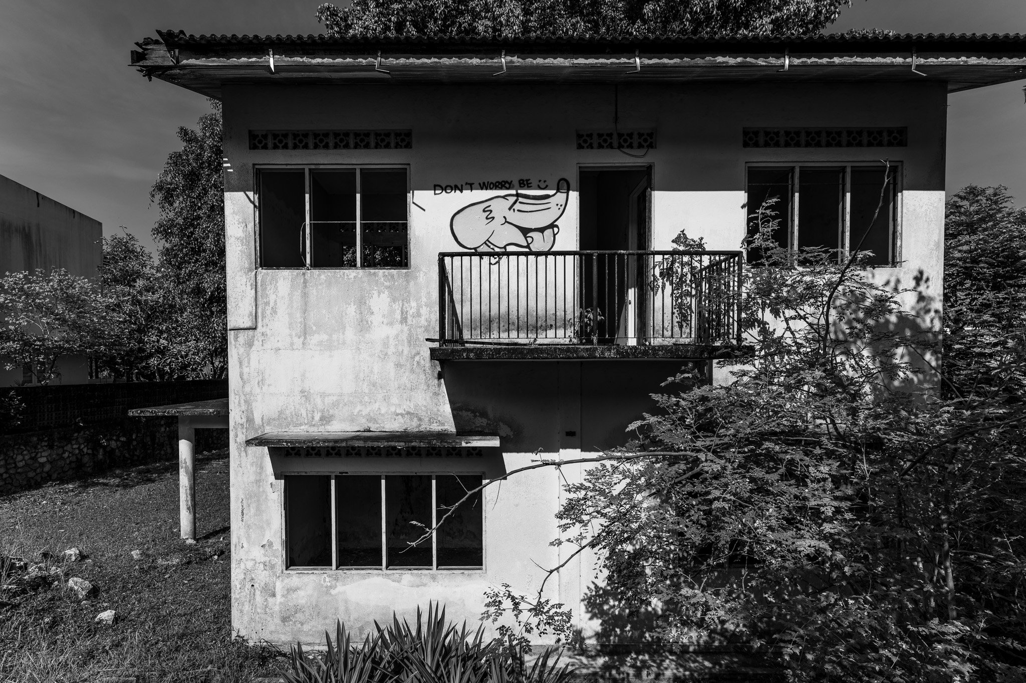 L1050560.jpg