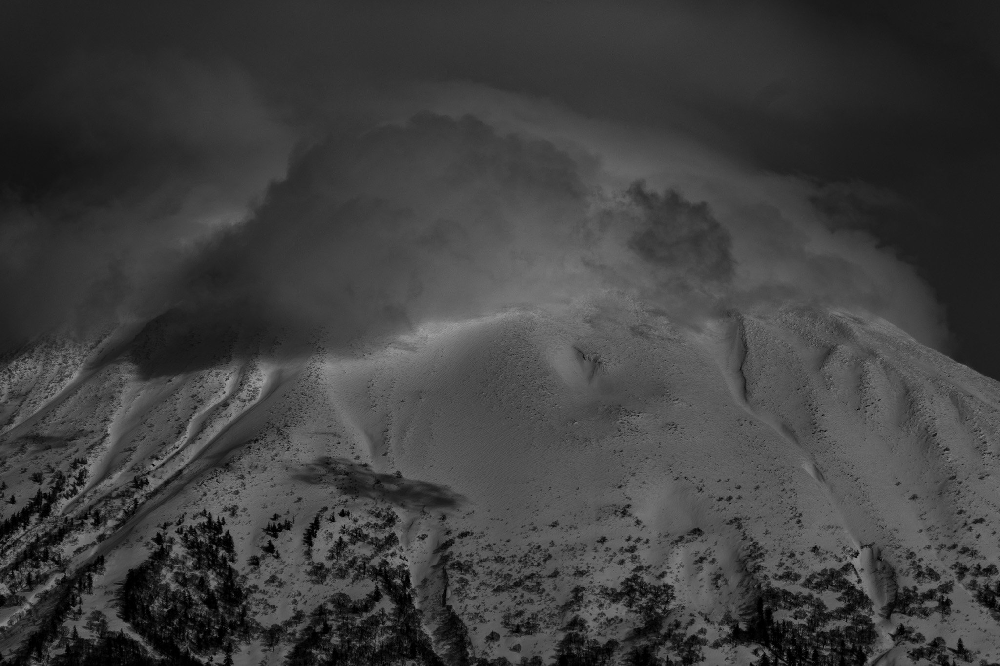 P1092873.jpg