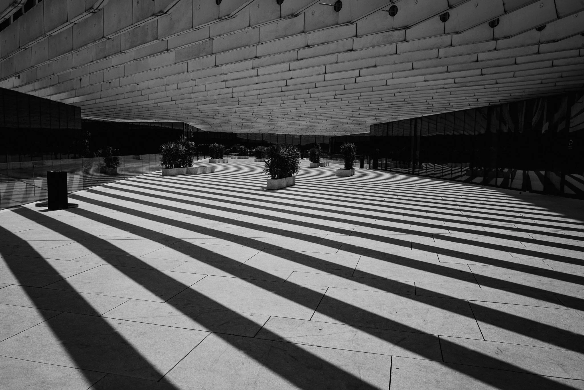 L1100560.jpg