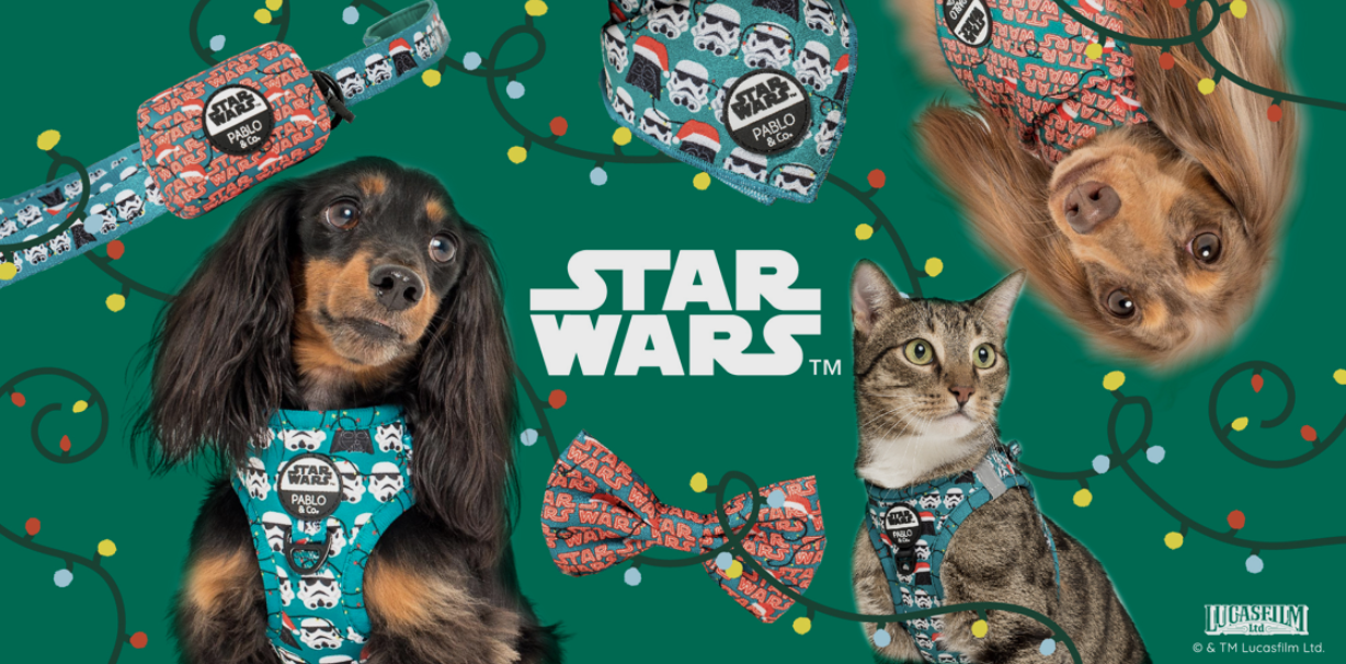 STAR WARS PABLO & CO.png