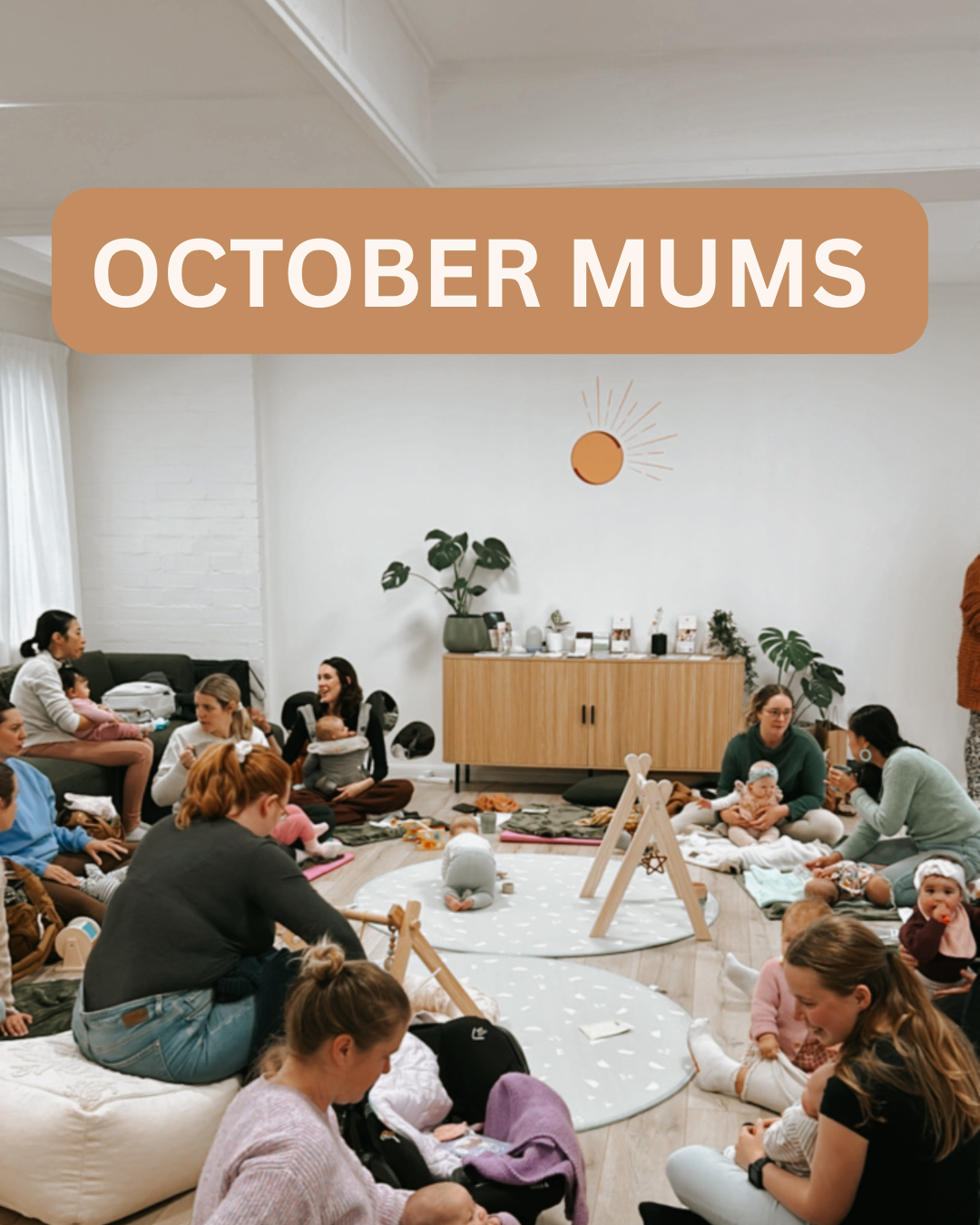 October Mums.png