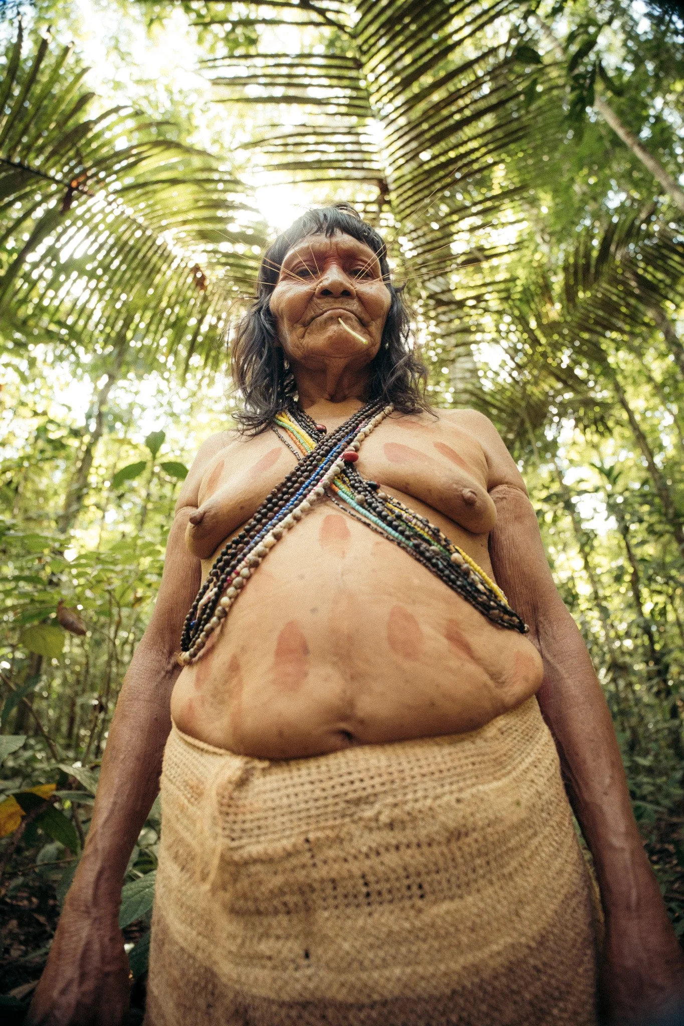 The Matsés