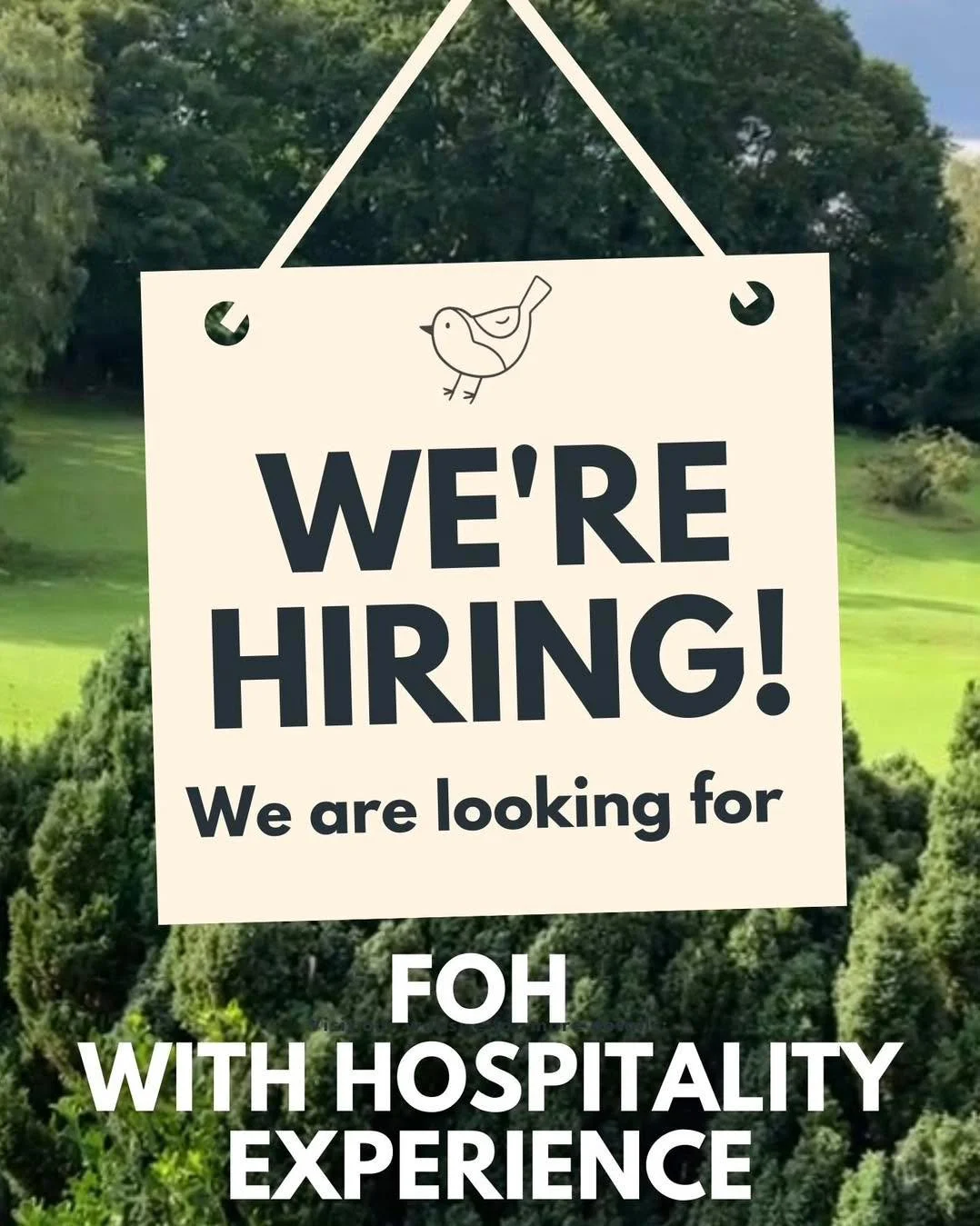 📣 WE&rsquo;RE HIRING 📣

We&rsquo;re looking for an experienced hospitality team member to join us at Birdies.

Previous hospitality experience is essential. We&rsquo;re looking for someone who can hit the ground running, provide excellent customer 