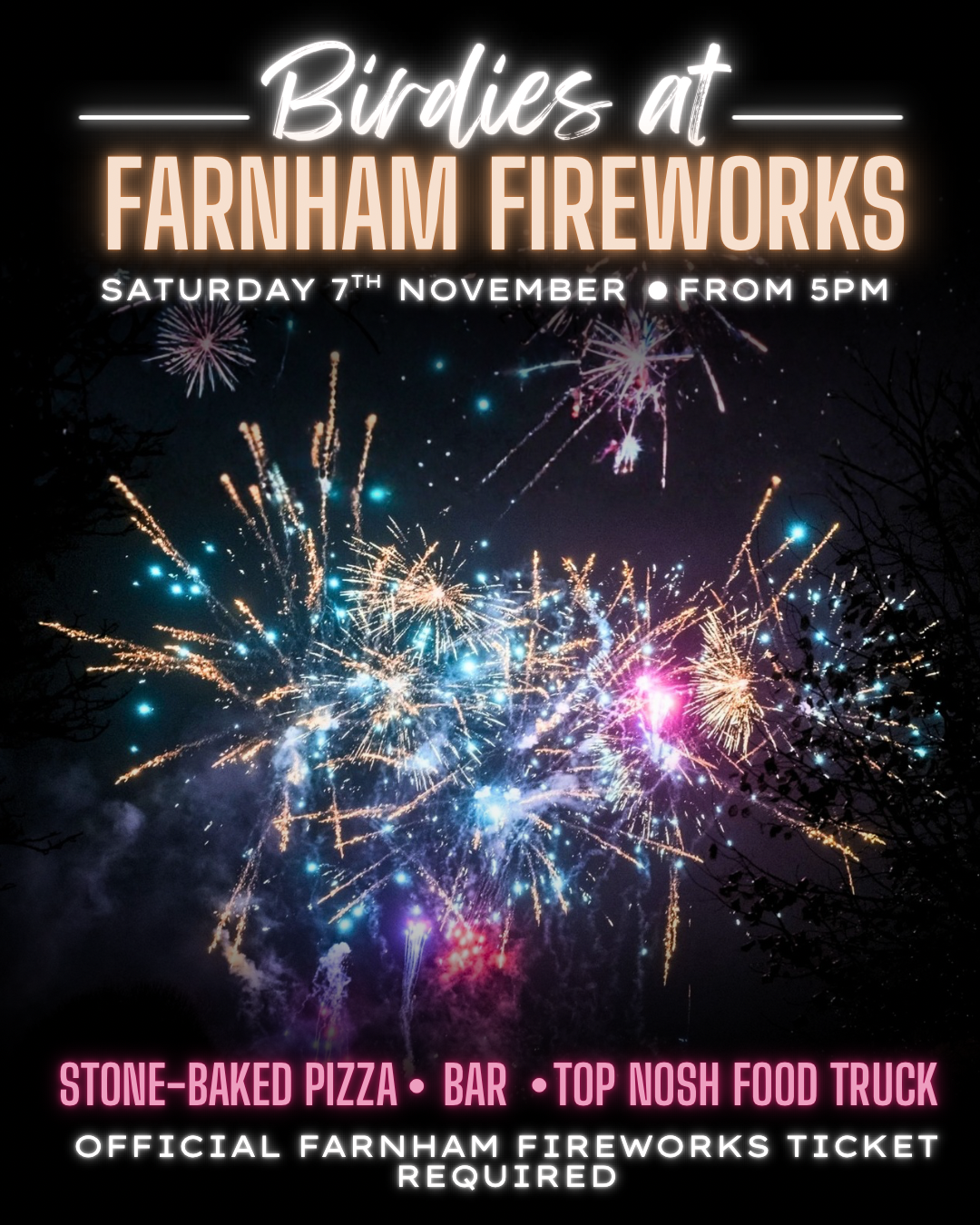 Farnham Fireworks at Birdies