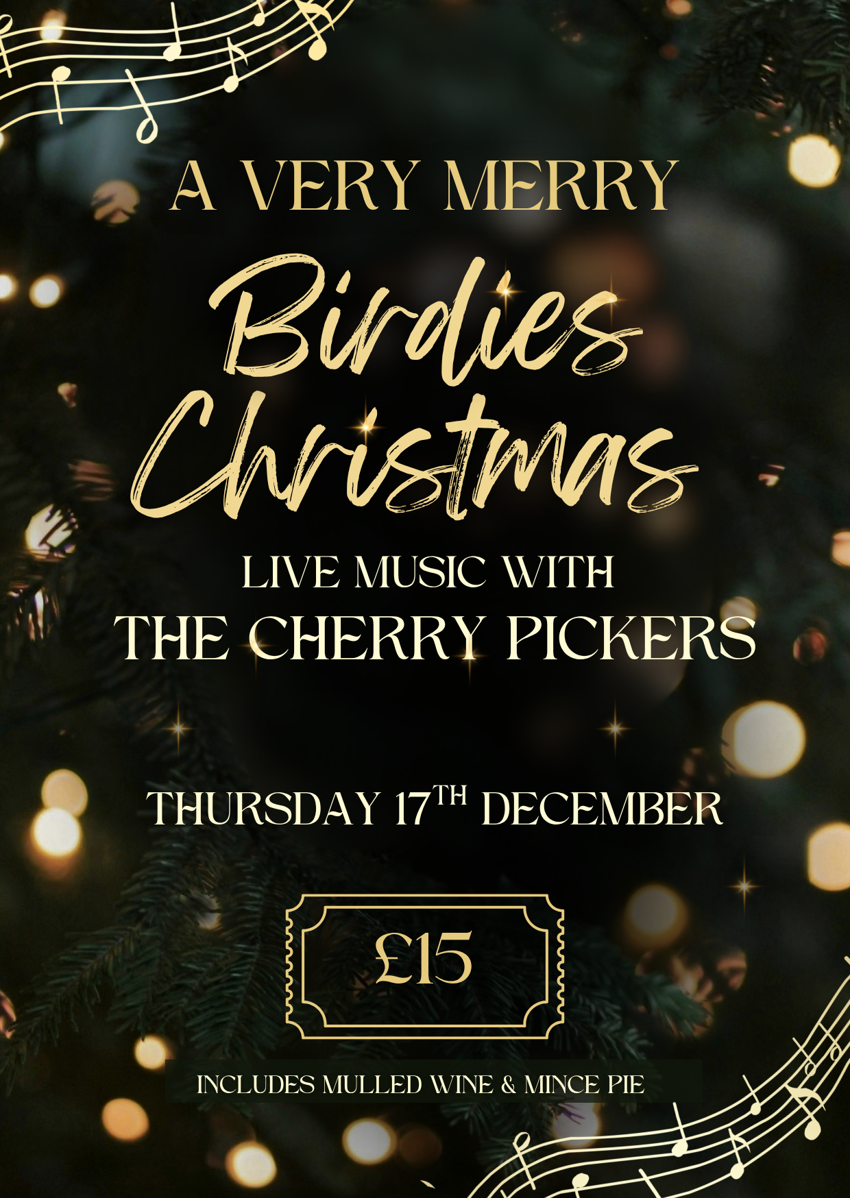 Birdies Live Christmas Music Night