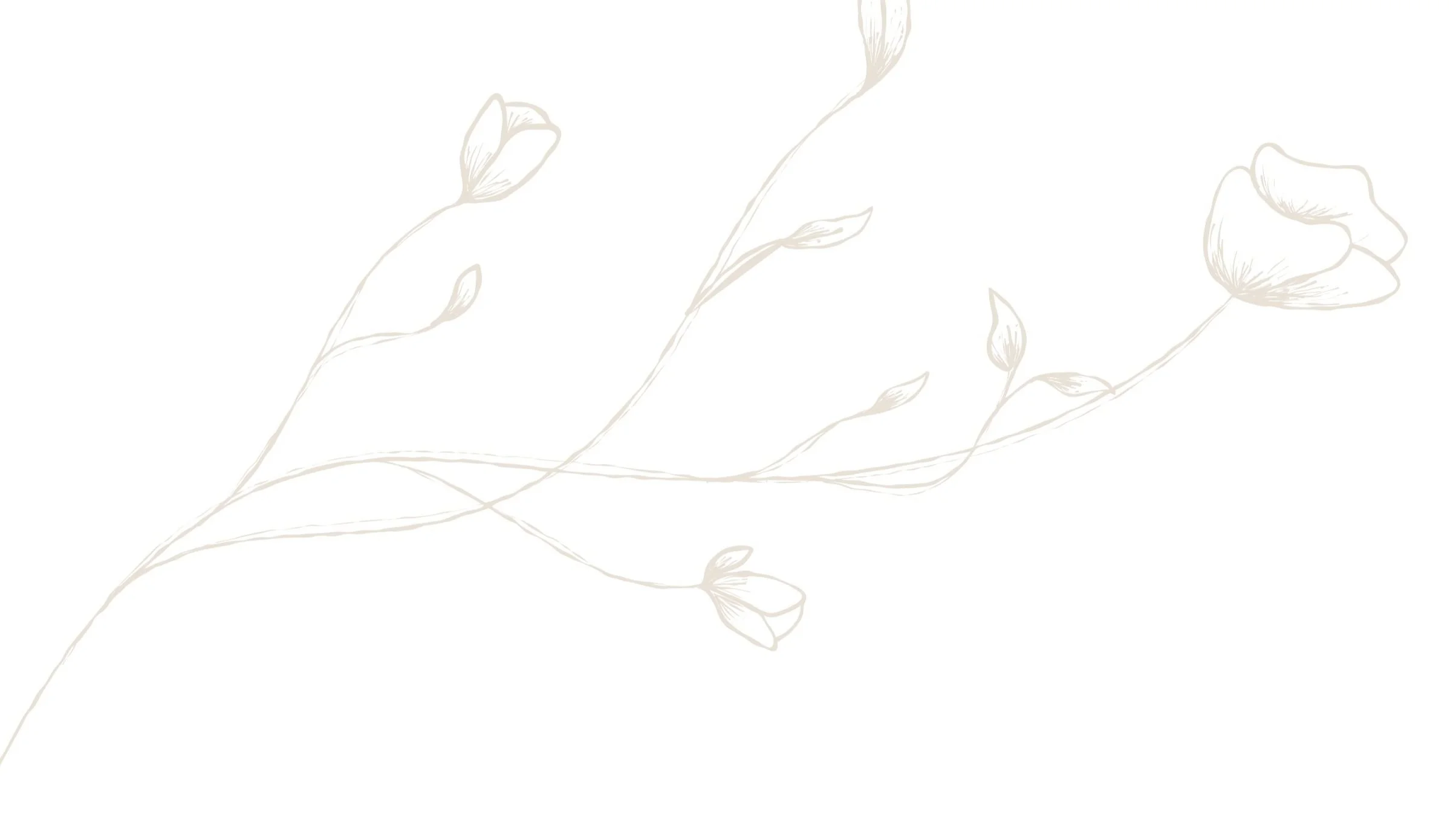 WeddingInWonderland — wedding