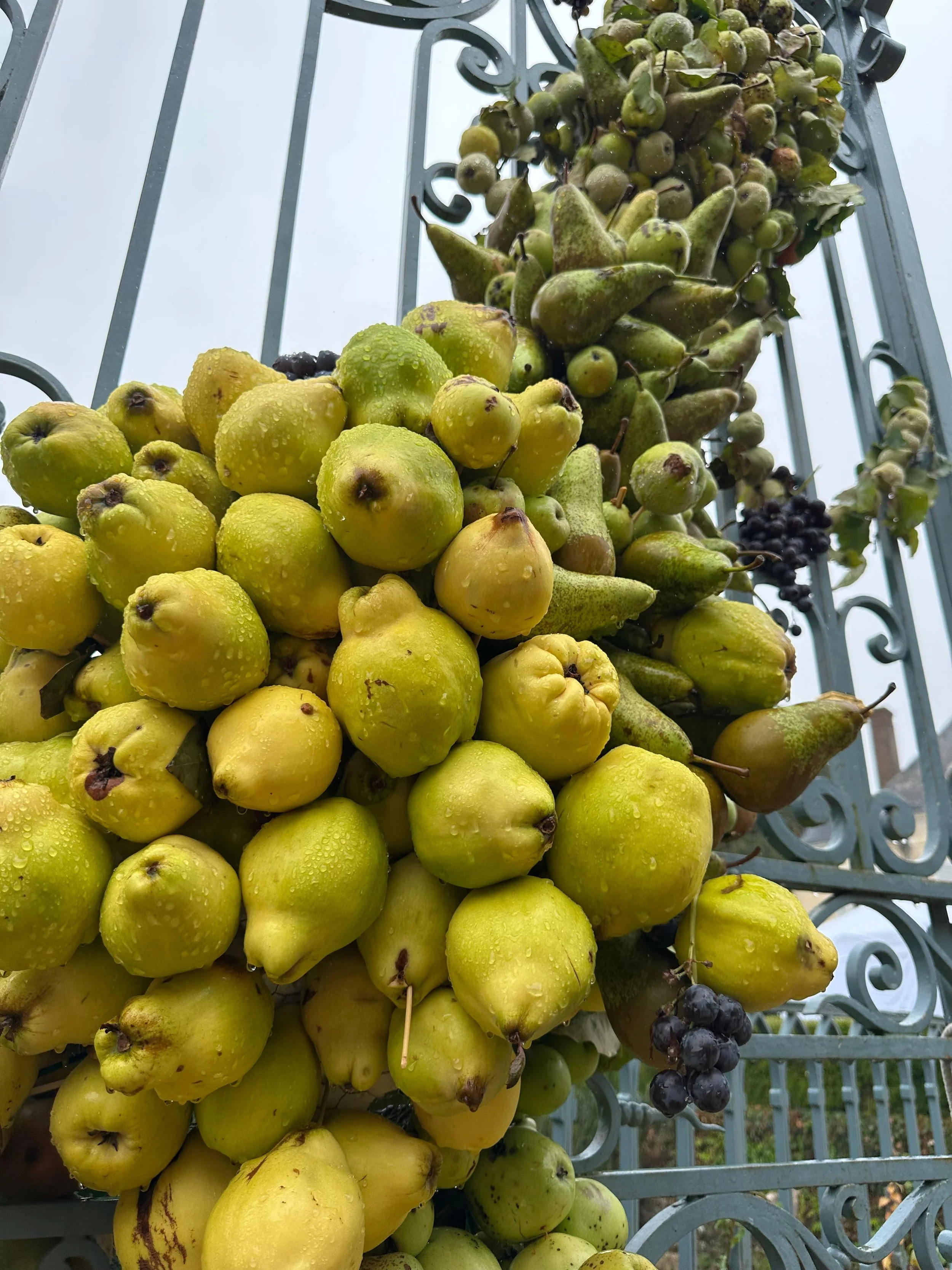 Un grand bouquet de fruits variés, principalement des pommes, des poires et des grappes de raisin, suspendus à une clôture en métal.
