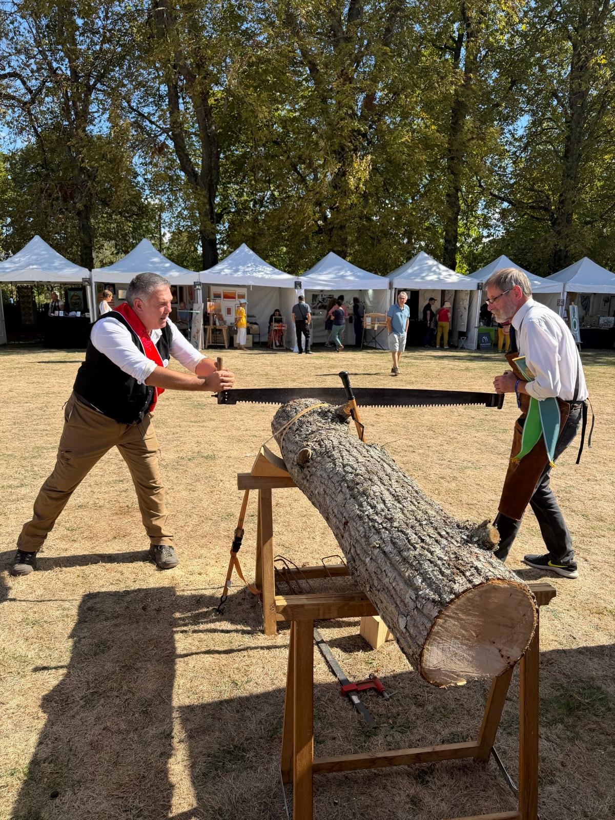 salon-de-fretay-2026-compagnons-sciage-de-long-tentes-exposants.jpeg