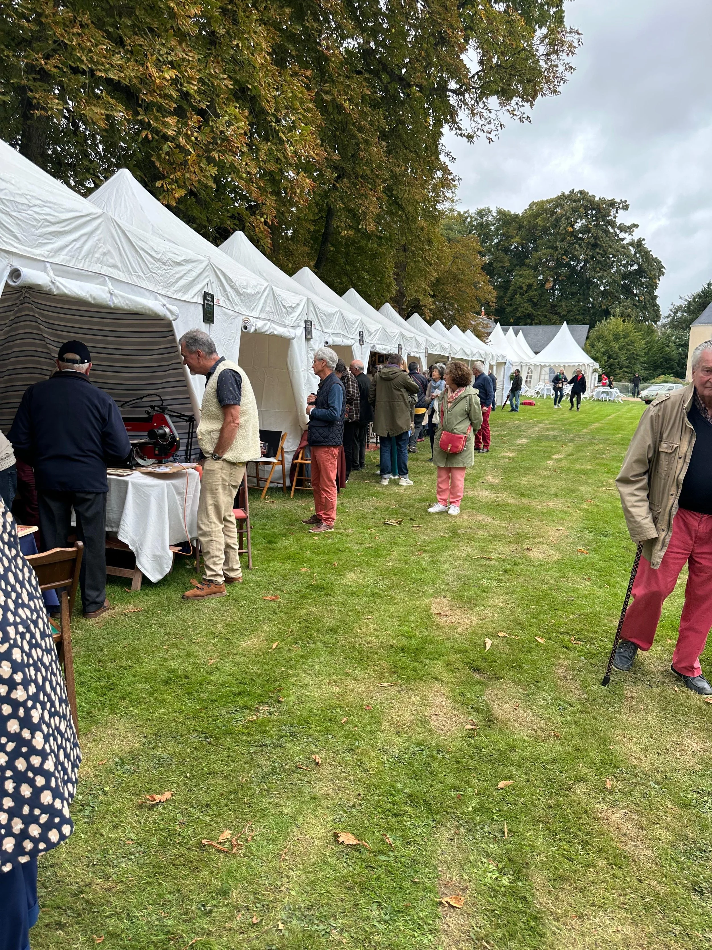 Une scène en plein air avec des tentes blanches alignées, des gens qui discutent et se promènent, dans un parc avec des arbres en arrière-plan, par une journée nuageuse.