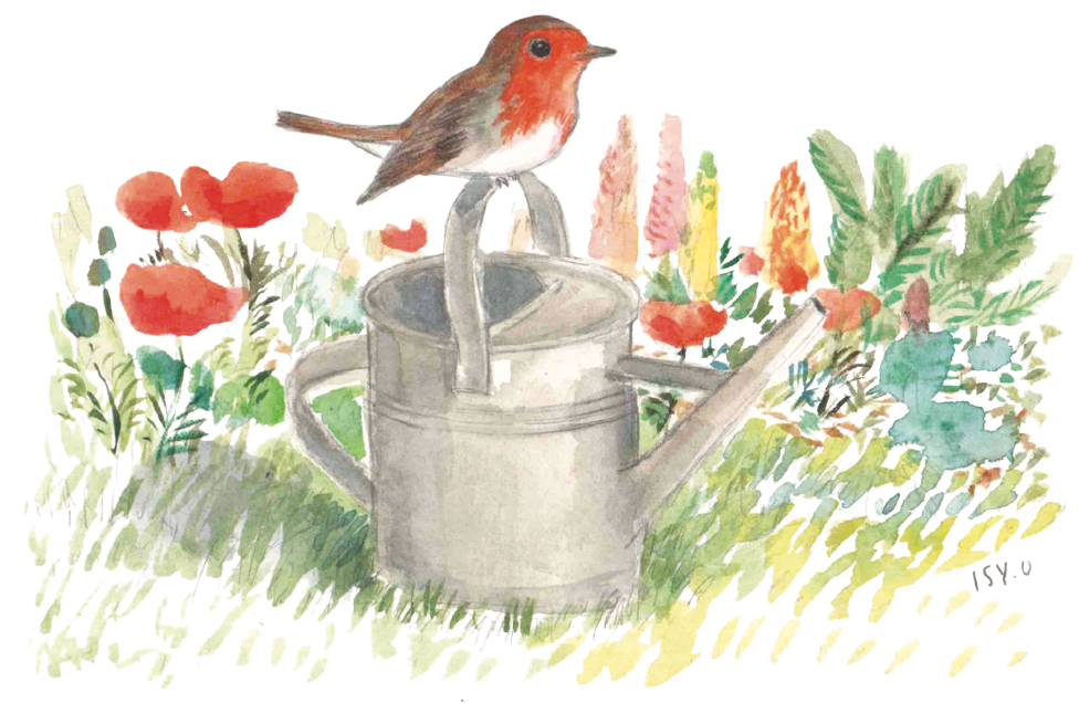 Un oiseau rouge et brun perché sur un arrosoir gris, entouré de fleurs colorées dans un jardin.