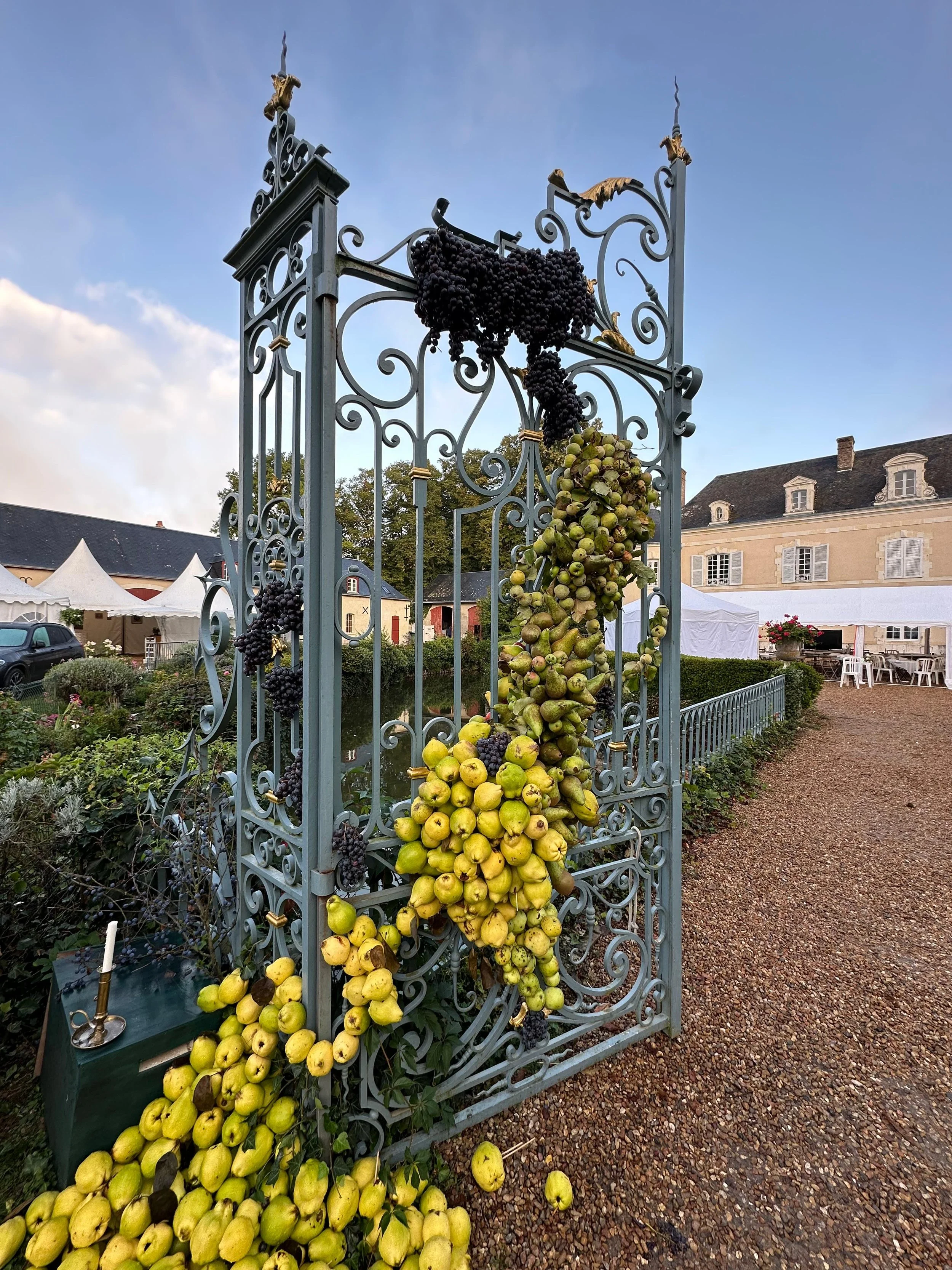 Une grille décorative en métal avec des grappes de raisins noirs, verts et jaunes suspendues, devant un jardin avec une maison à l'arrière-plan.