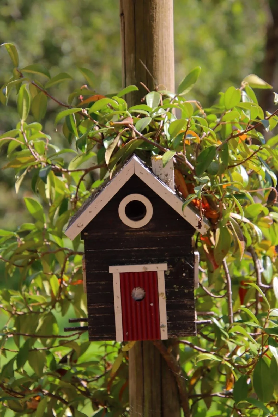 salon-de-fretay-2026-jardin-nichoir-oiseau.jpeg
