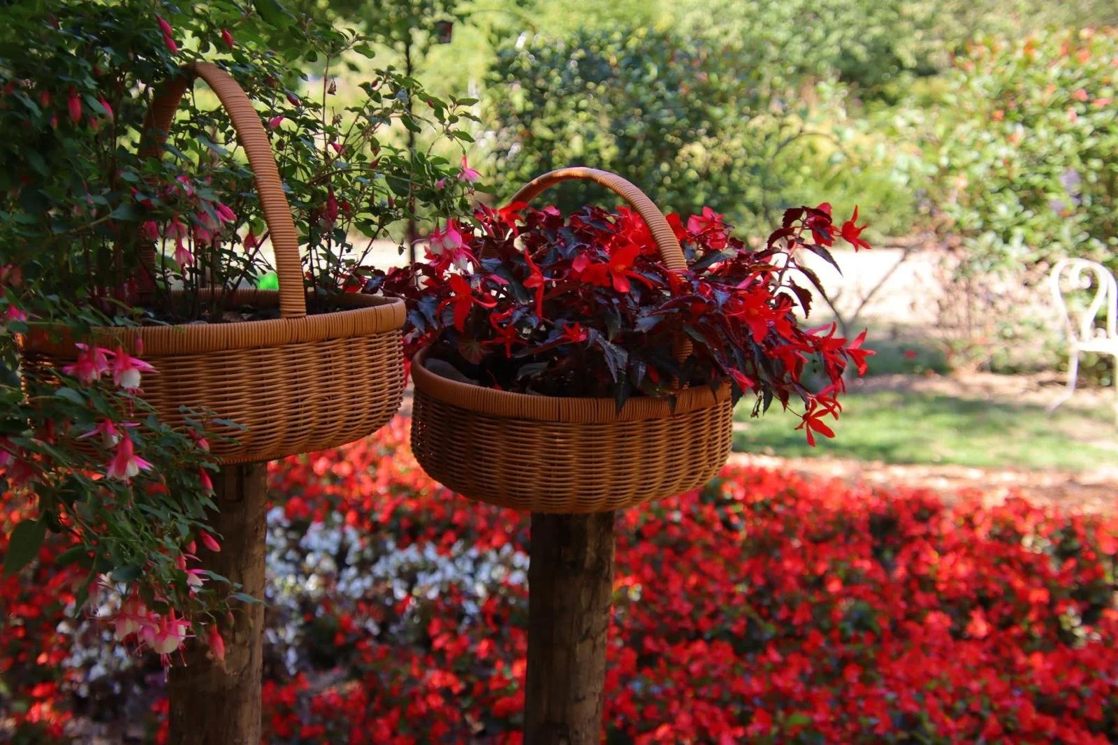 salon-de-fretay-2026-jardin-paniers-osier-fleuris.jpeg