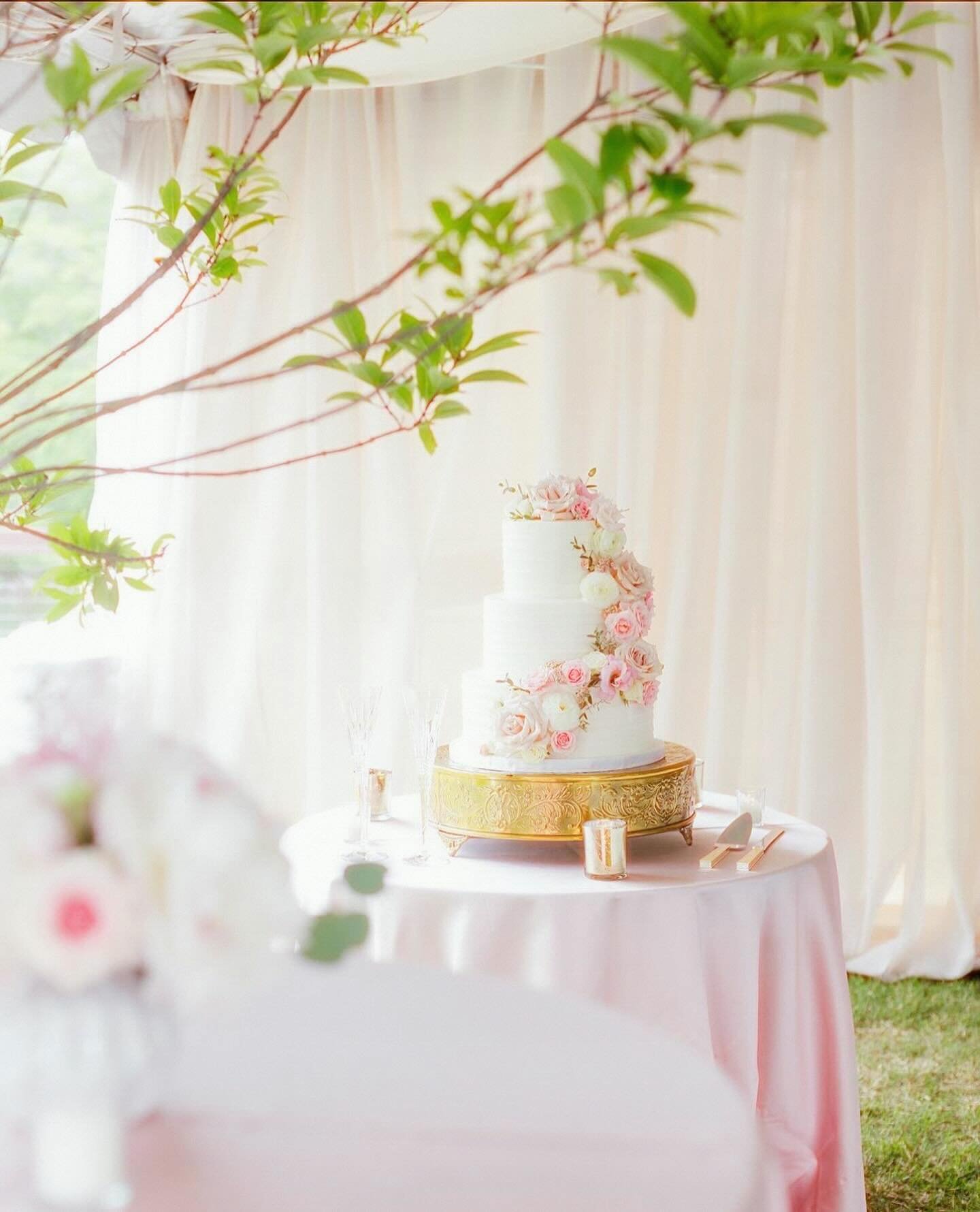 Cake backdrops are a sweet addition to any outdoor wedding. Just enough to highlight your big photo moments without blocking the view!