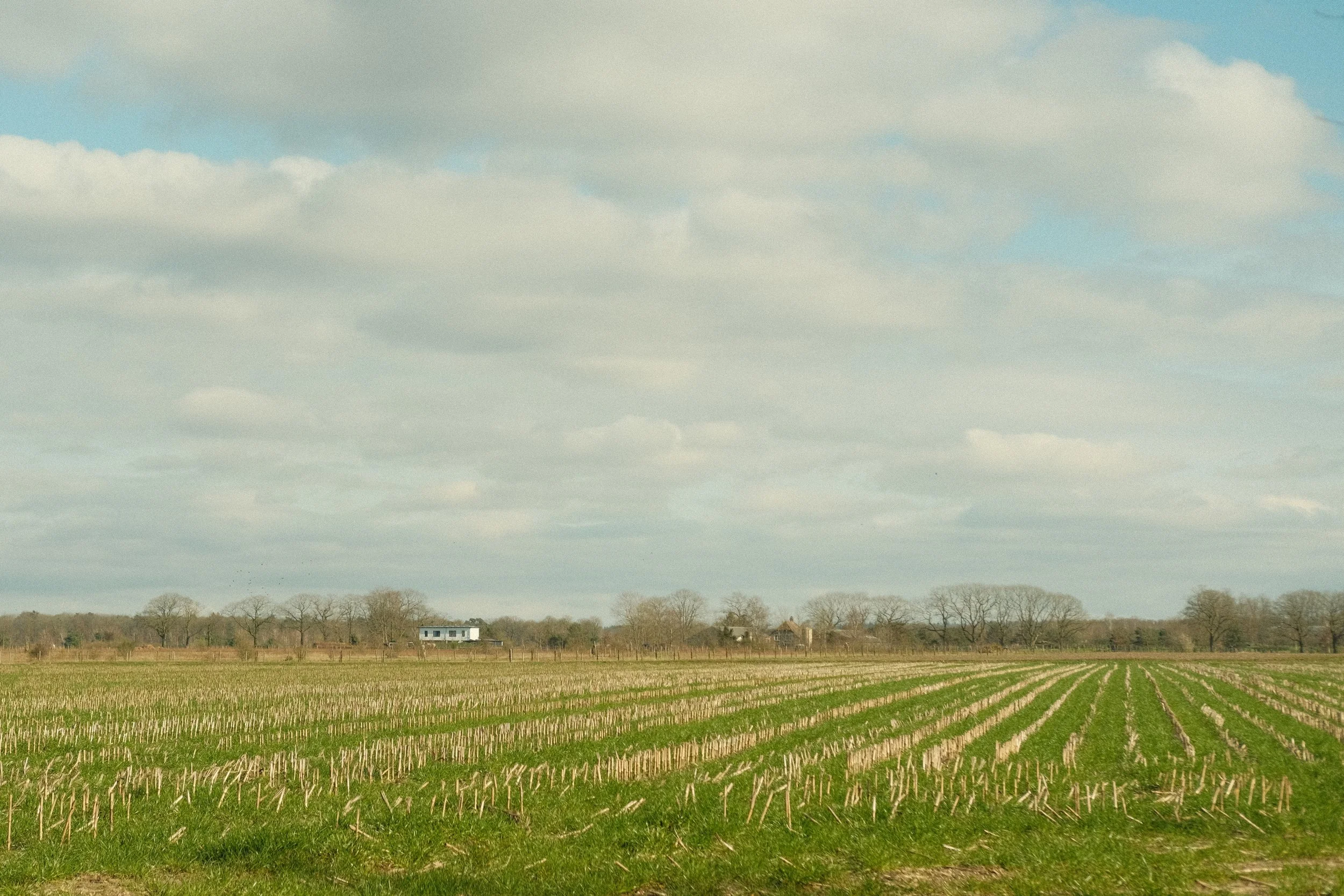 DSCF4127.jpg