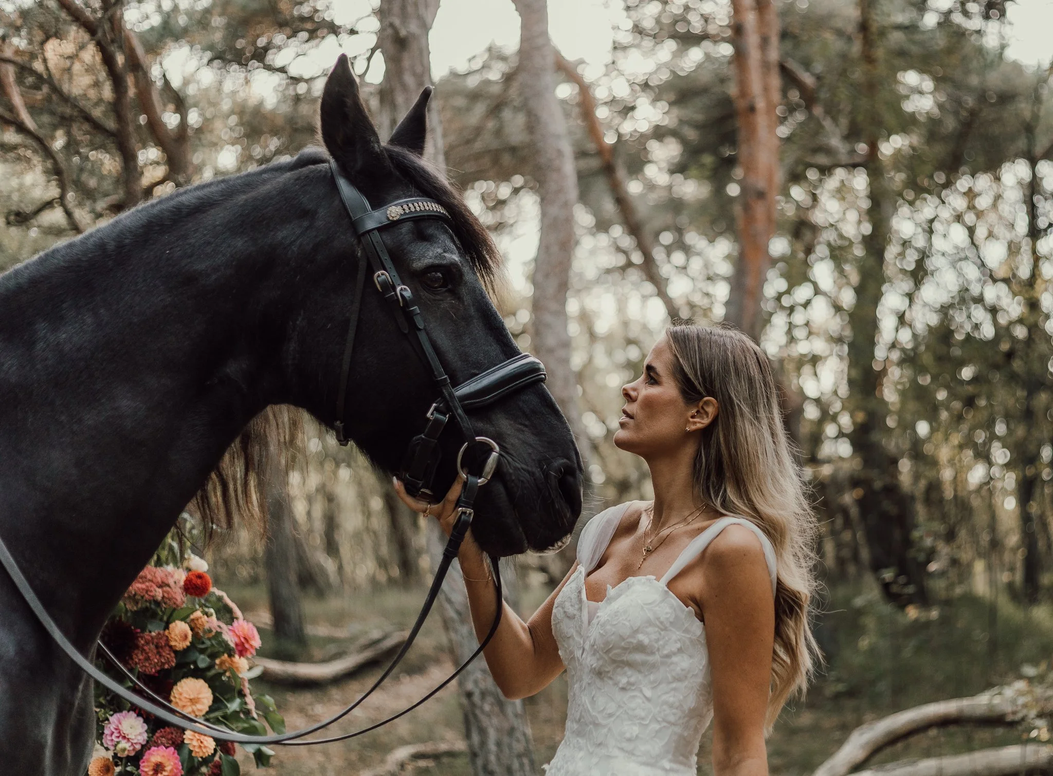 Kvinna och häst står mitt emot varandra i skogen. Kvinnan håller en hand under hästens mule.