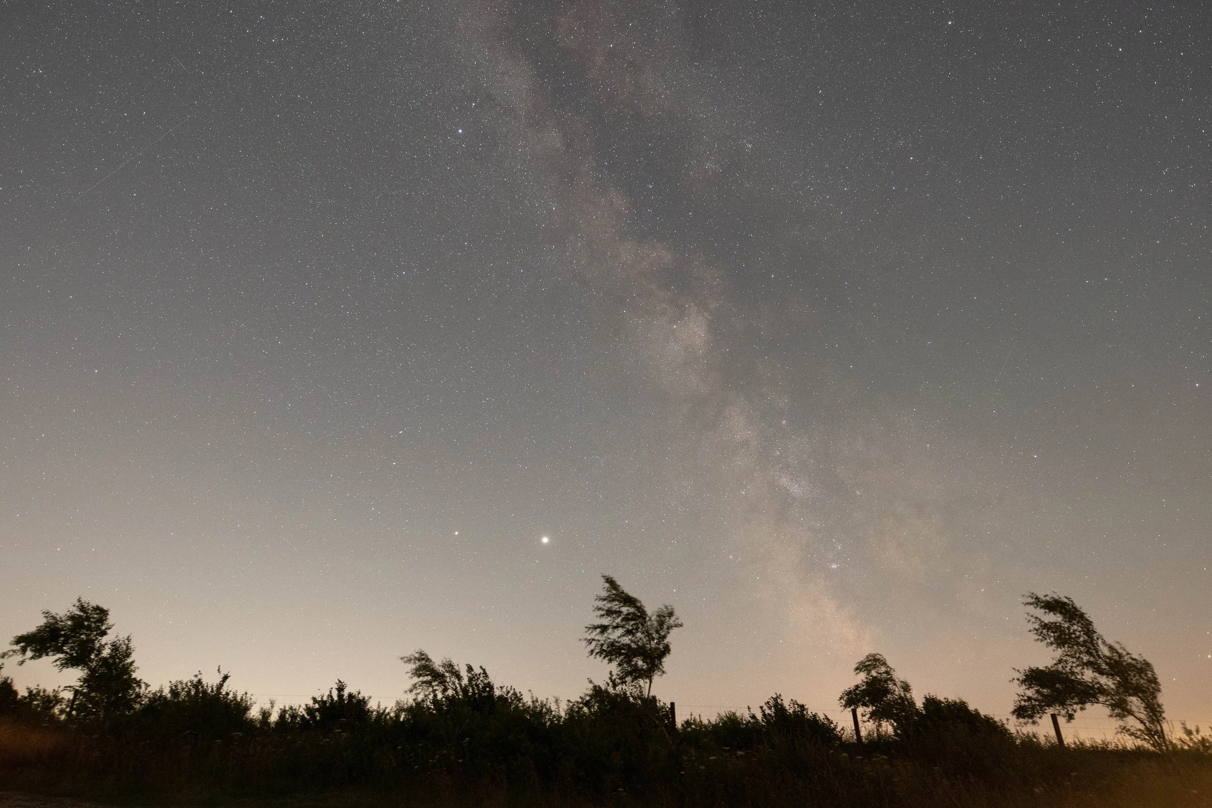 Win Green 12.7.20 WideMK-3.jpg