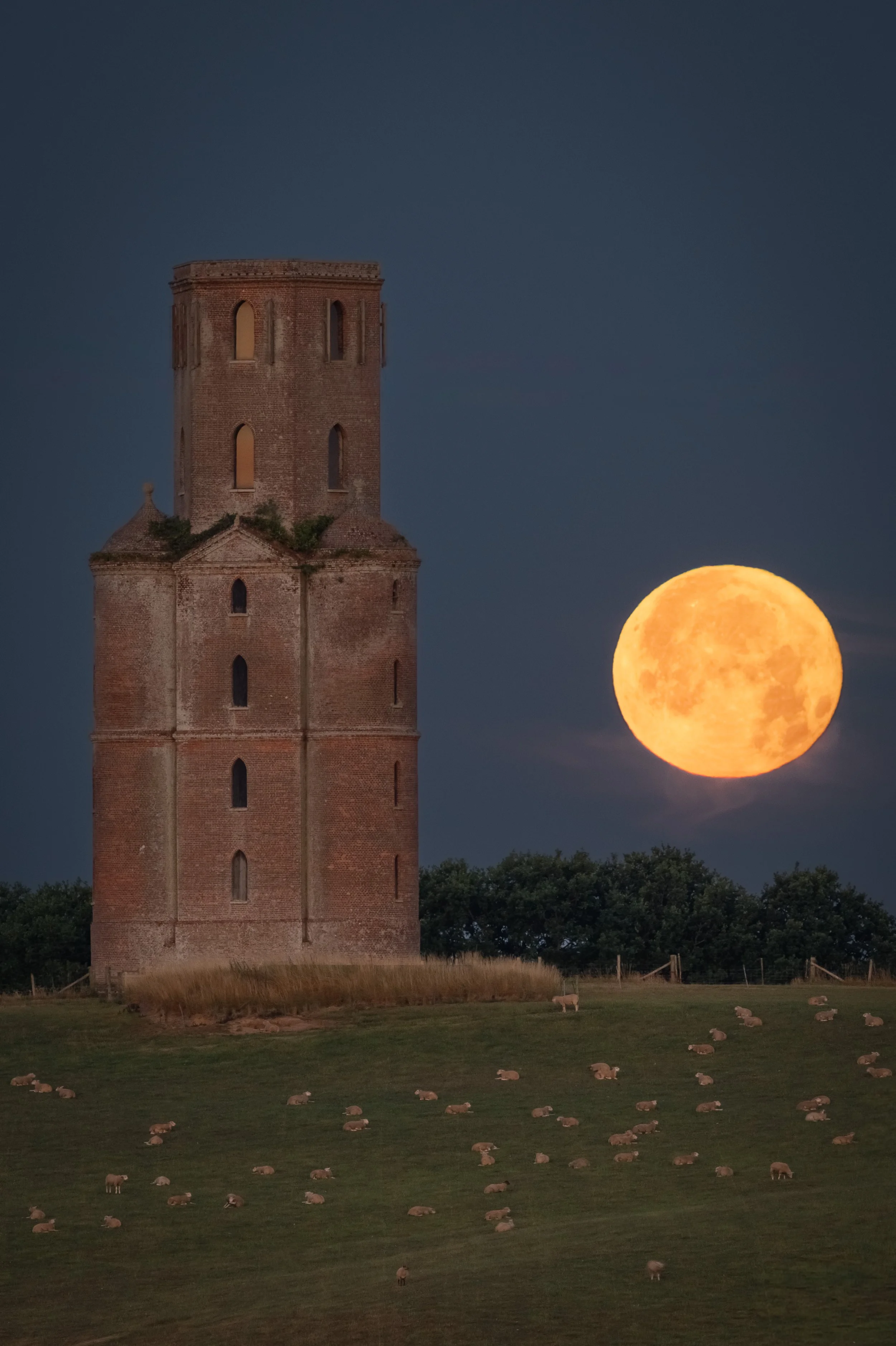 Buck Moon Set Horton Tower (1 of 1)-2.jpg