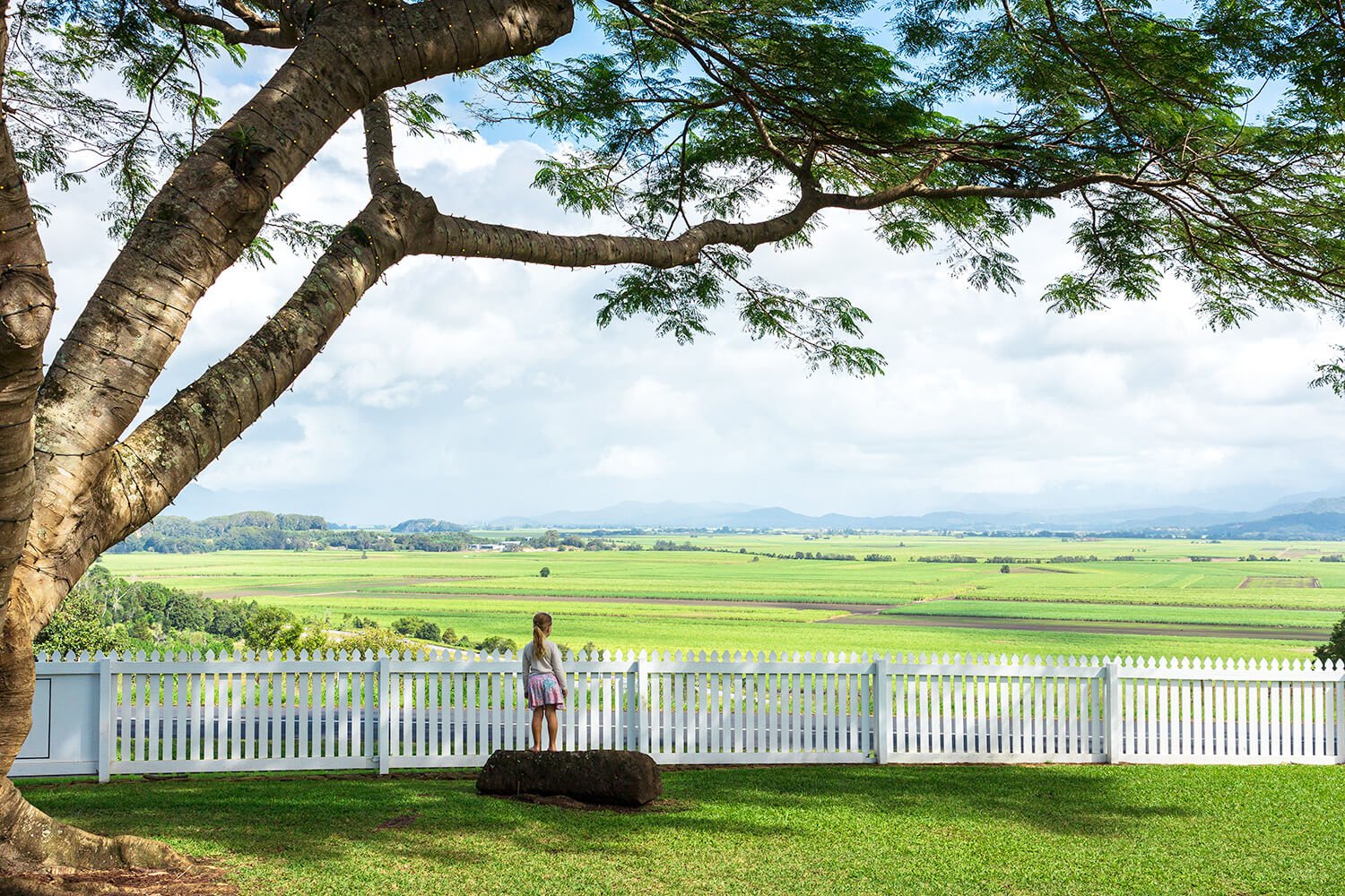 Somewhere bigger than the fence allows.