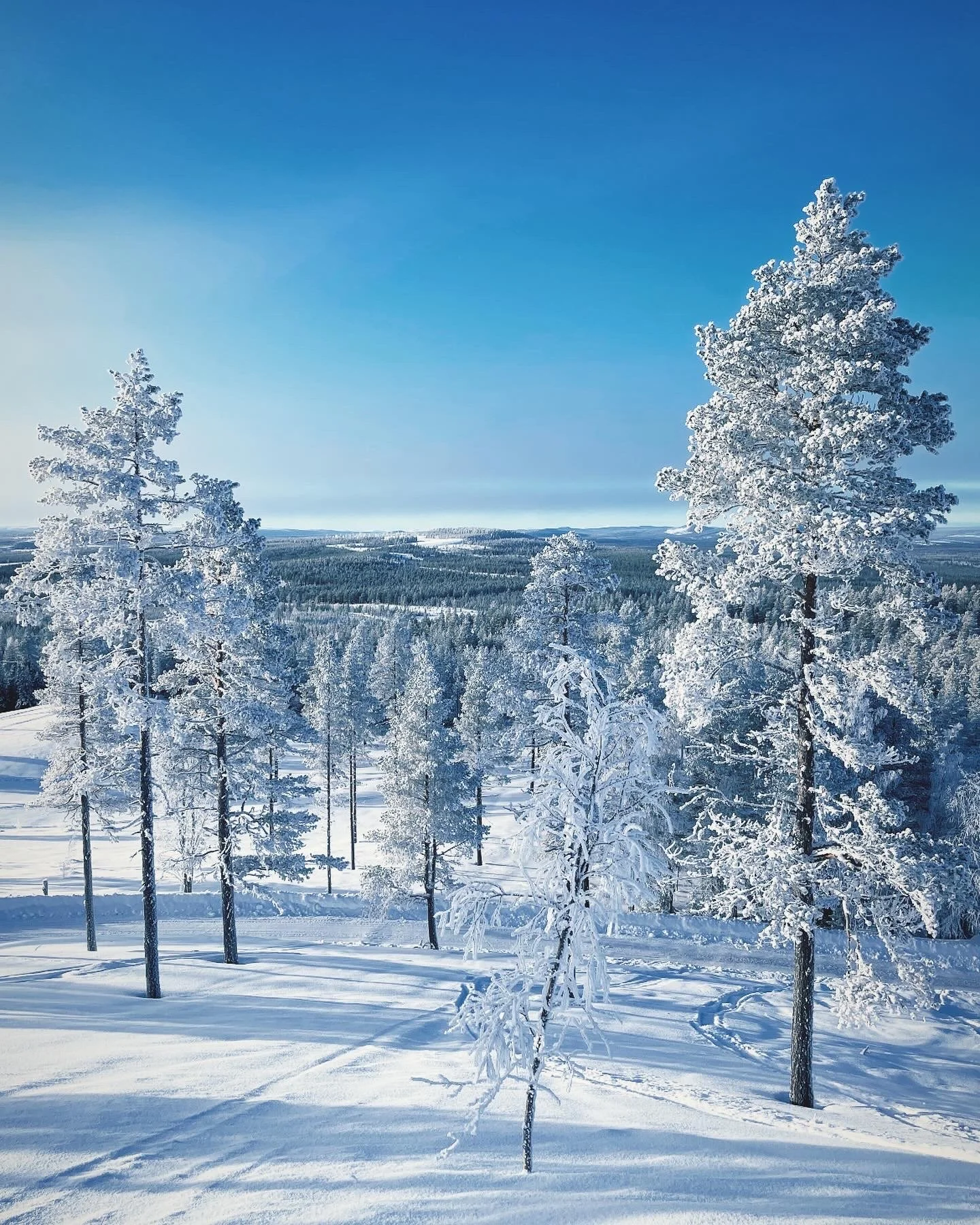 Vinter | Boka Vintersäker Upplevelse — Visit Särna