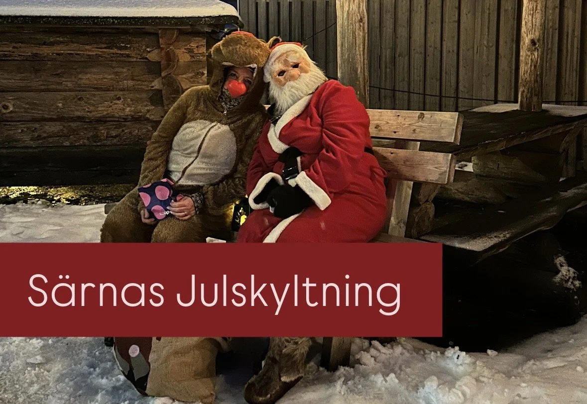 Särnas Julskyltning