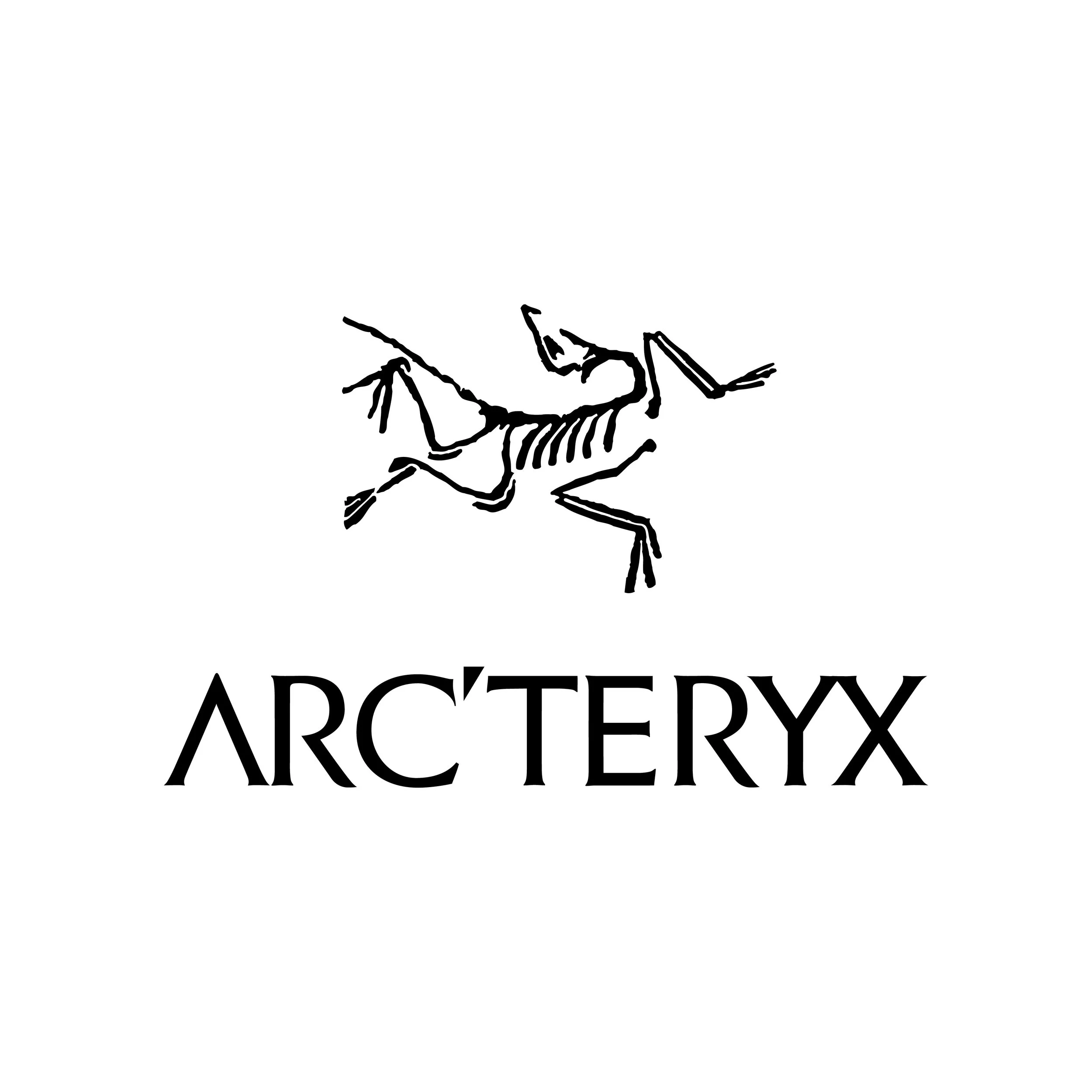 arcteryx_2.jpg