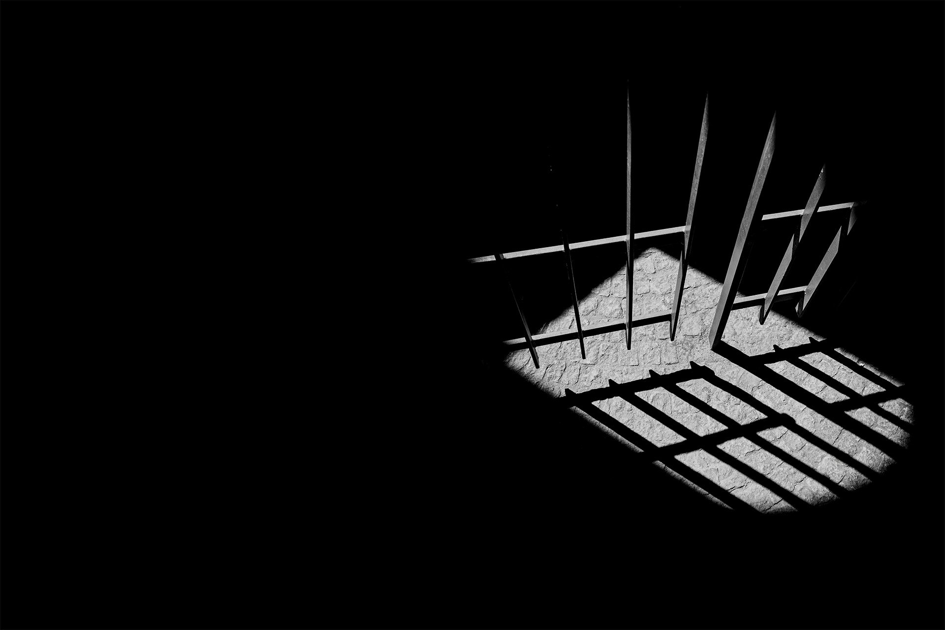 Initiatives Trek For Tarzan Initiatives Trek For Tarzan