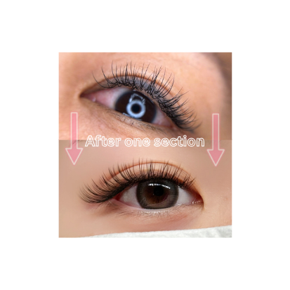 Basic Refresh & Technique Correction