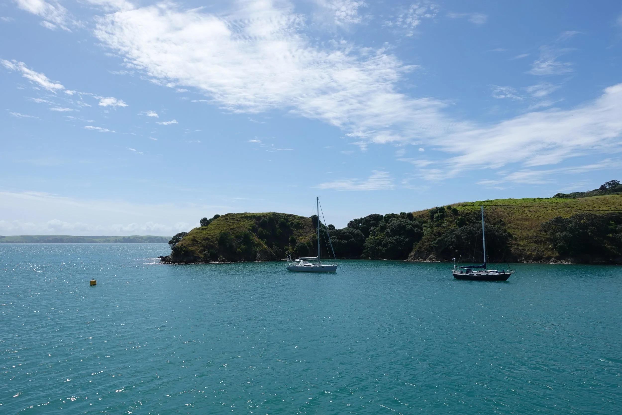 Wine on Waiheke Island