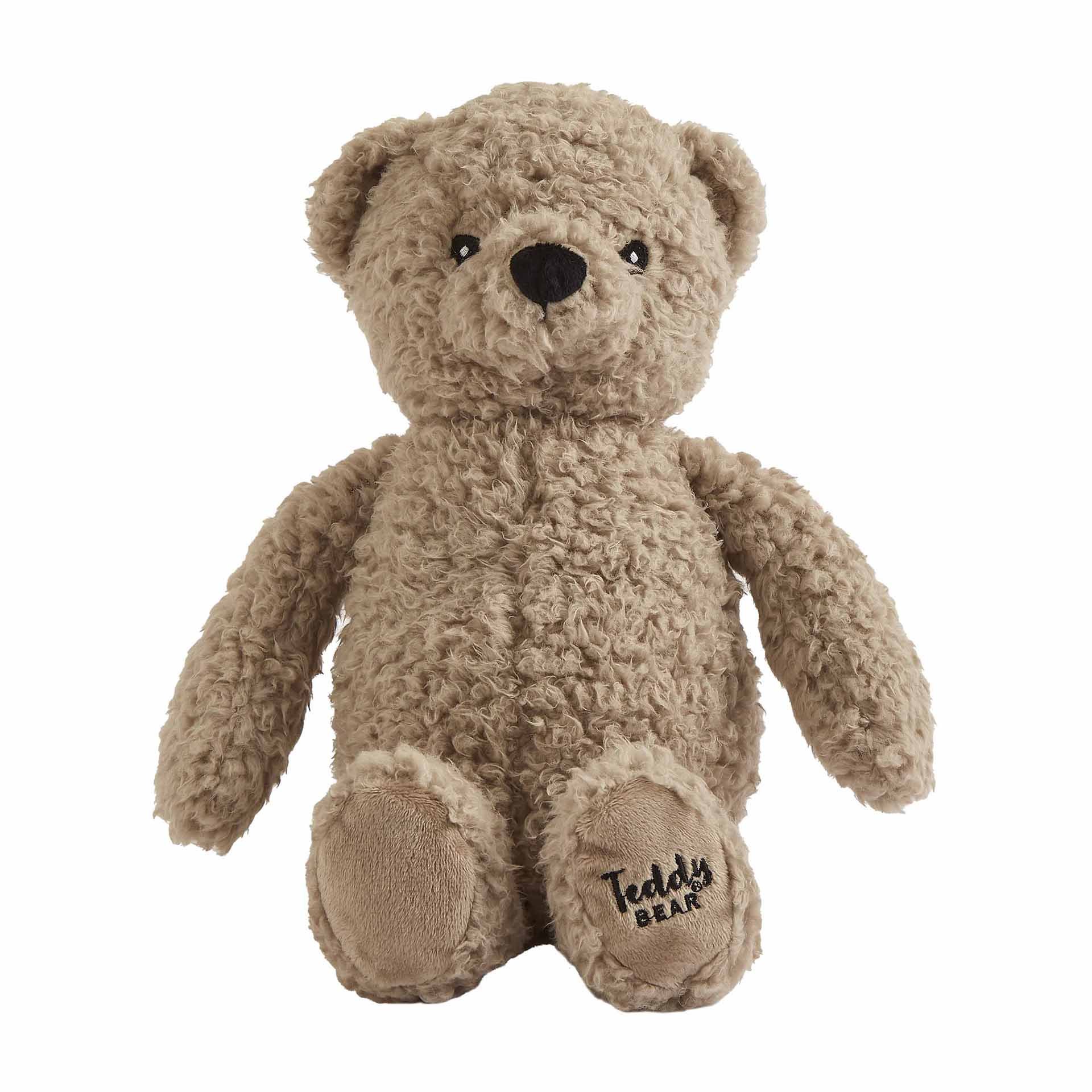 teddy-bear-toy.jpg