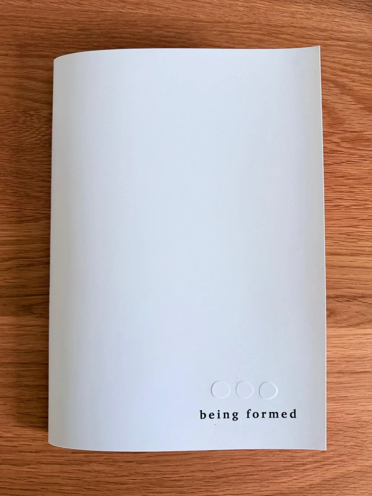 daily journals